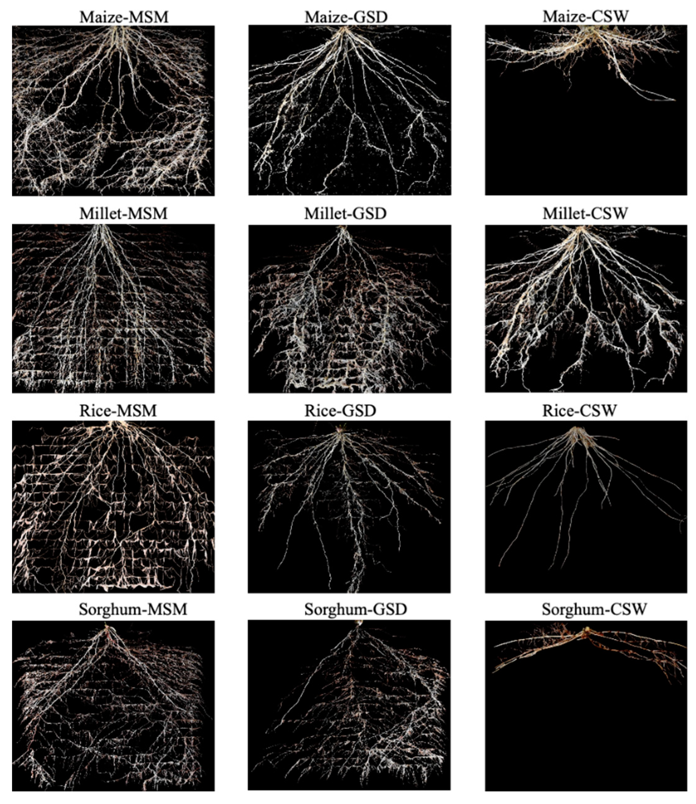 Agronomy 11 00708 g002 Agronomy 11 00708 g002