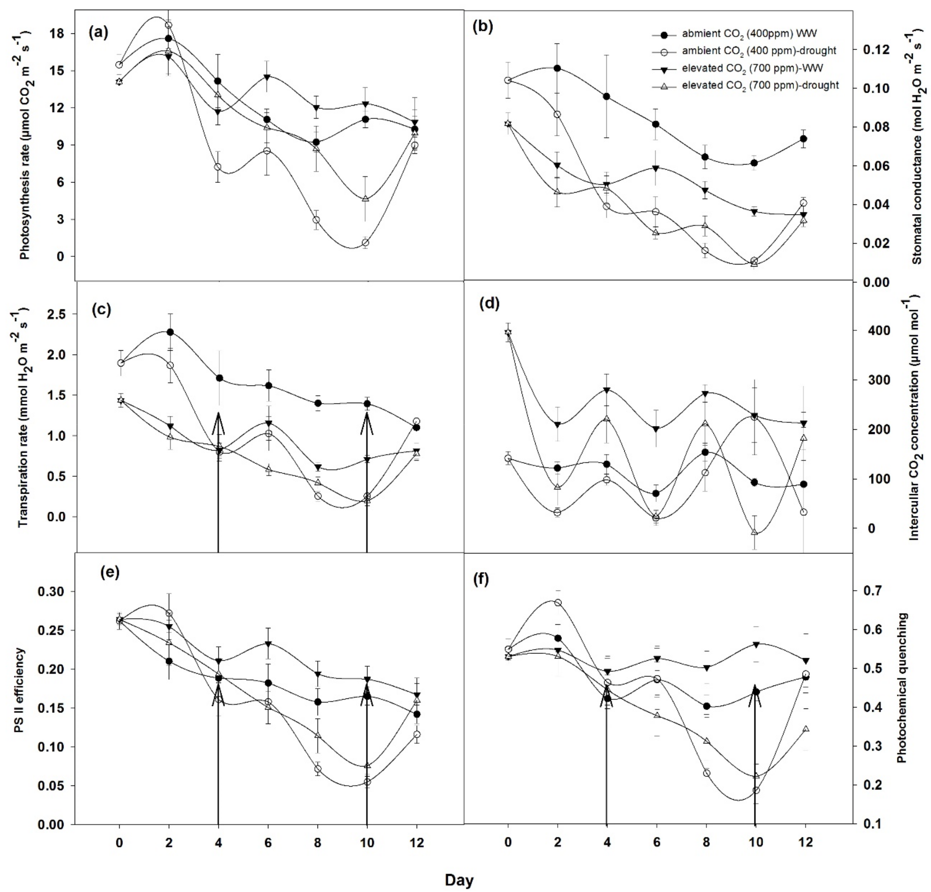 Agronomy 11 00728 g004