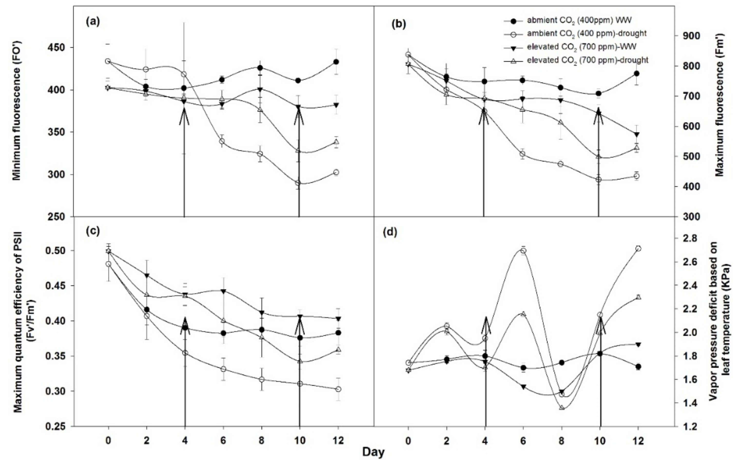 Agronomy 11 00728 g005