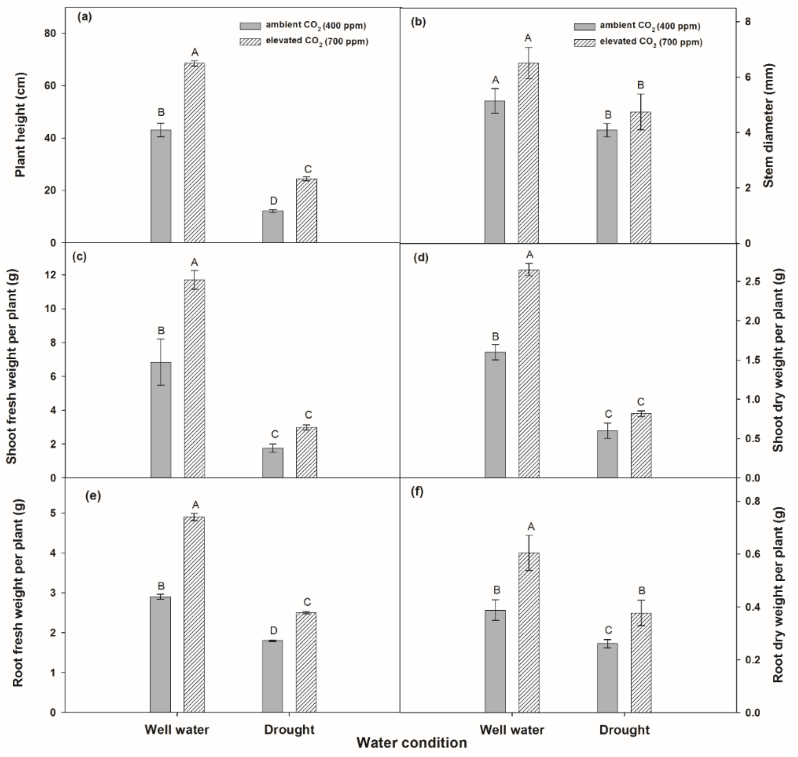 Agronomy 11 00728 g006