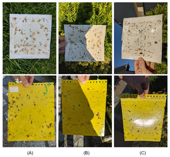 https://www.mdpi.com/agronomy/agronomy-11-00731/article_deploy/html/images/agronomy-11-00731-g003-550.jpg