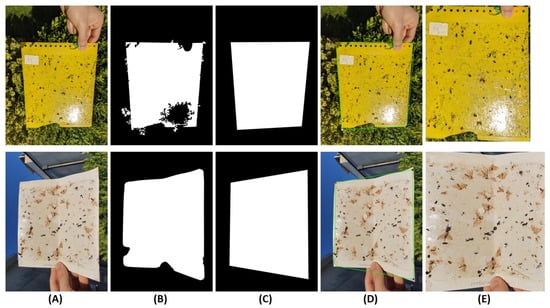 https://www.mdpi.com/agronomy/agronomy-11-00731/article_deploy/html/images/agronomy-11-00731-g007-550.jpg