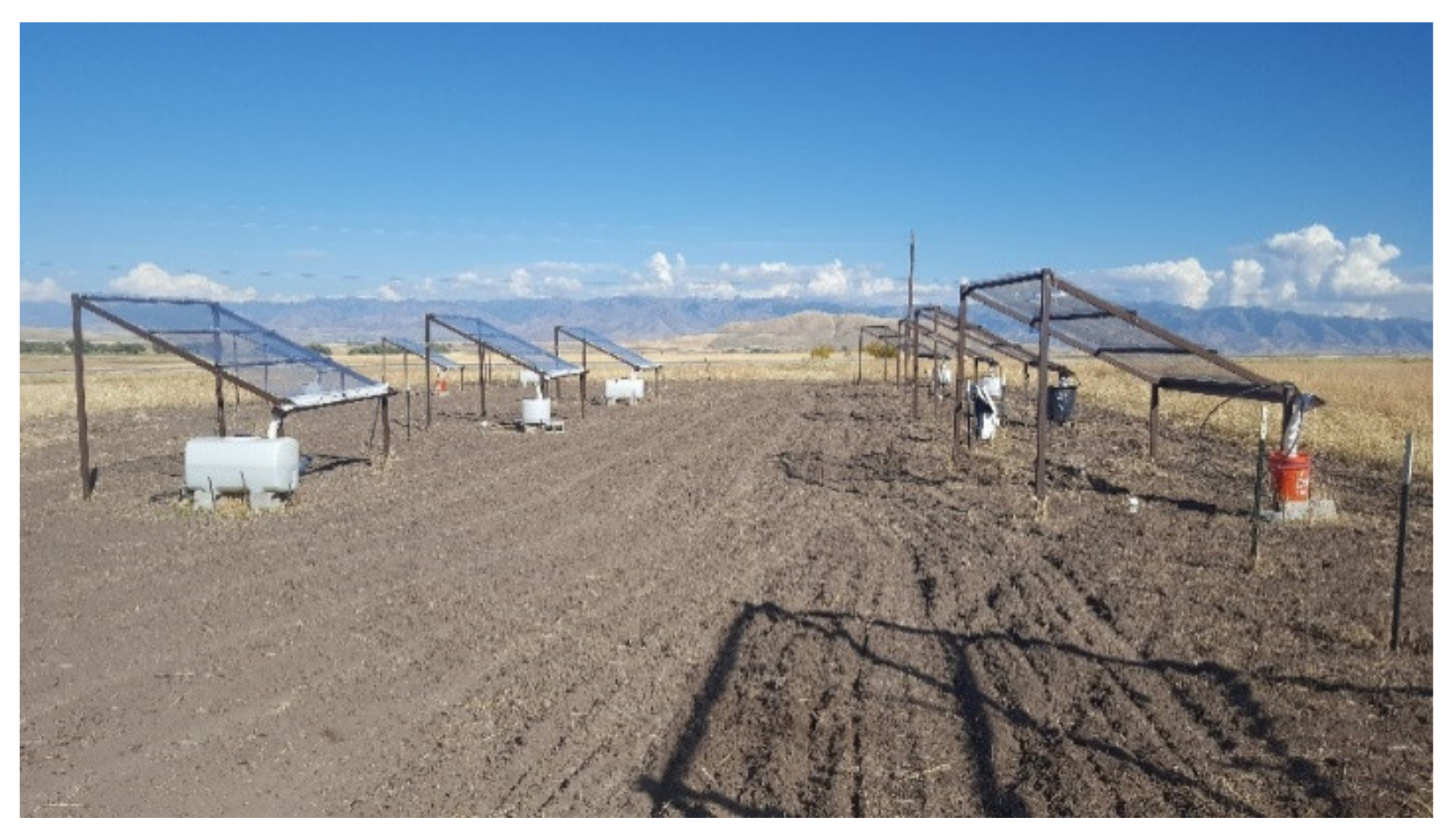 Agronomy 11 00751 g002 Agronomy 11 00751 g002