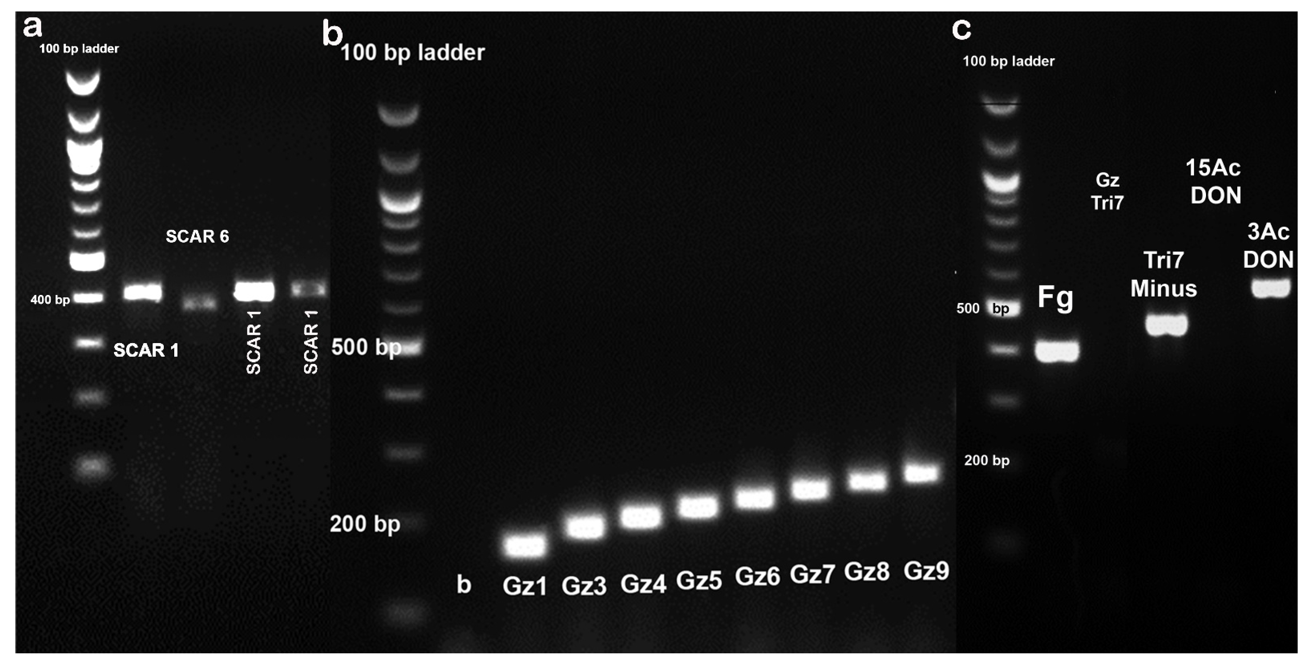 Agronomy 11 00778 g003