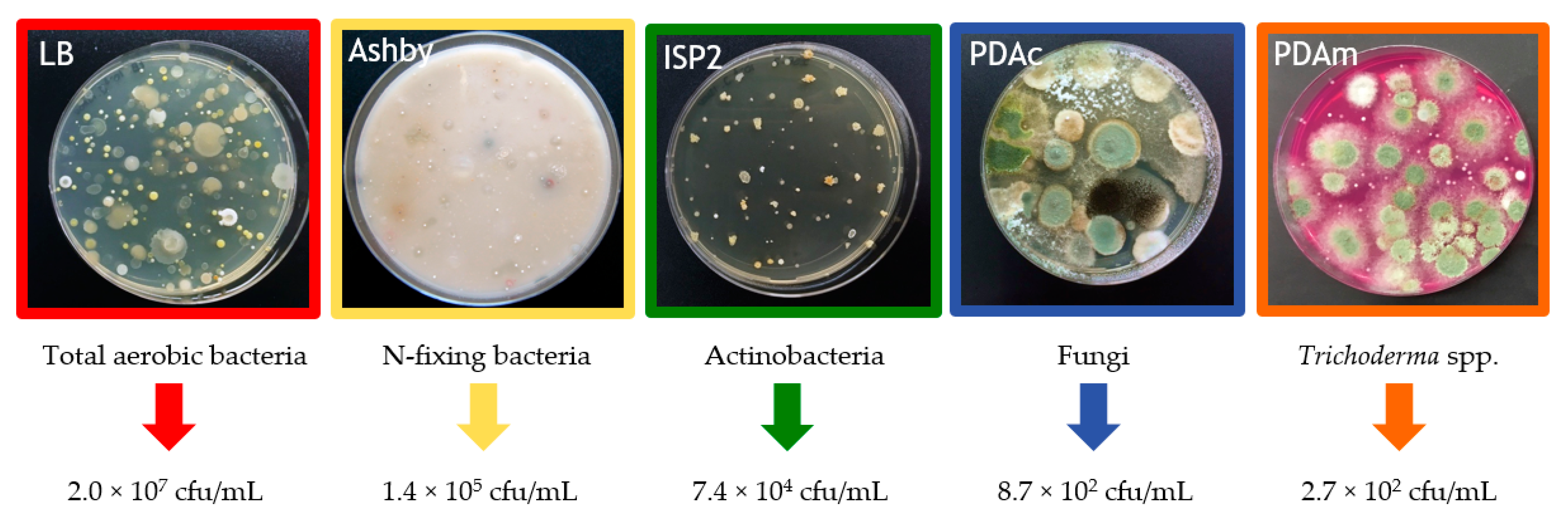 Agronomy 11 00781 g002