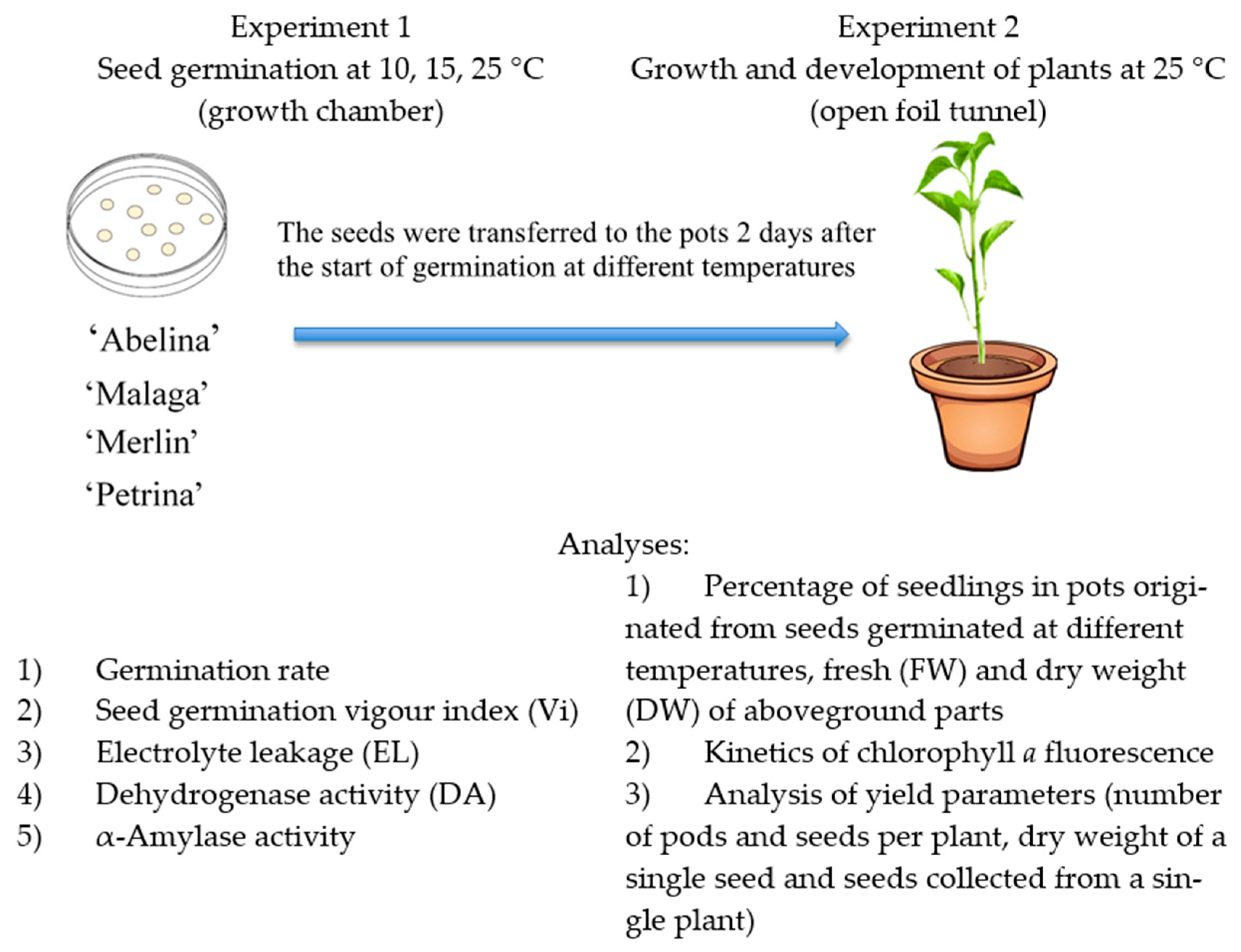 Agronomy | Free Full-Text | Effect of Low Temperature on Germination,  Growth, and Seed Yield of Four Soybean (Glycine max L.) Cultivars