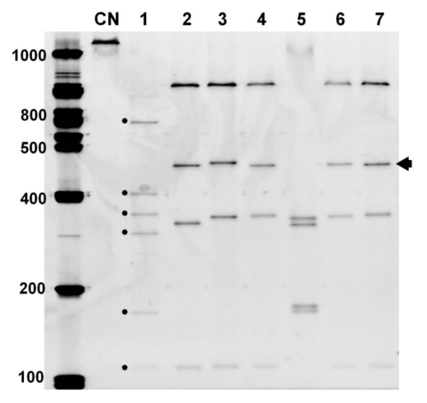 Agronomy 11 00816 g002