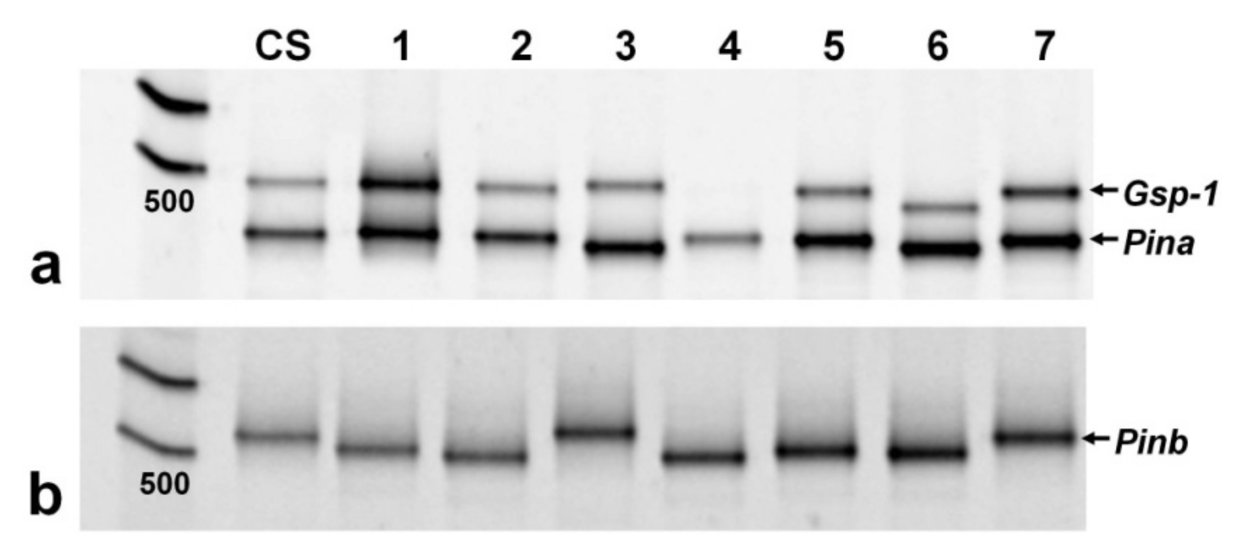 Agronomy 11 00816 g006