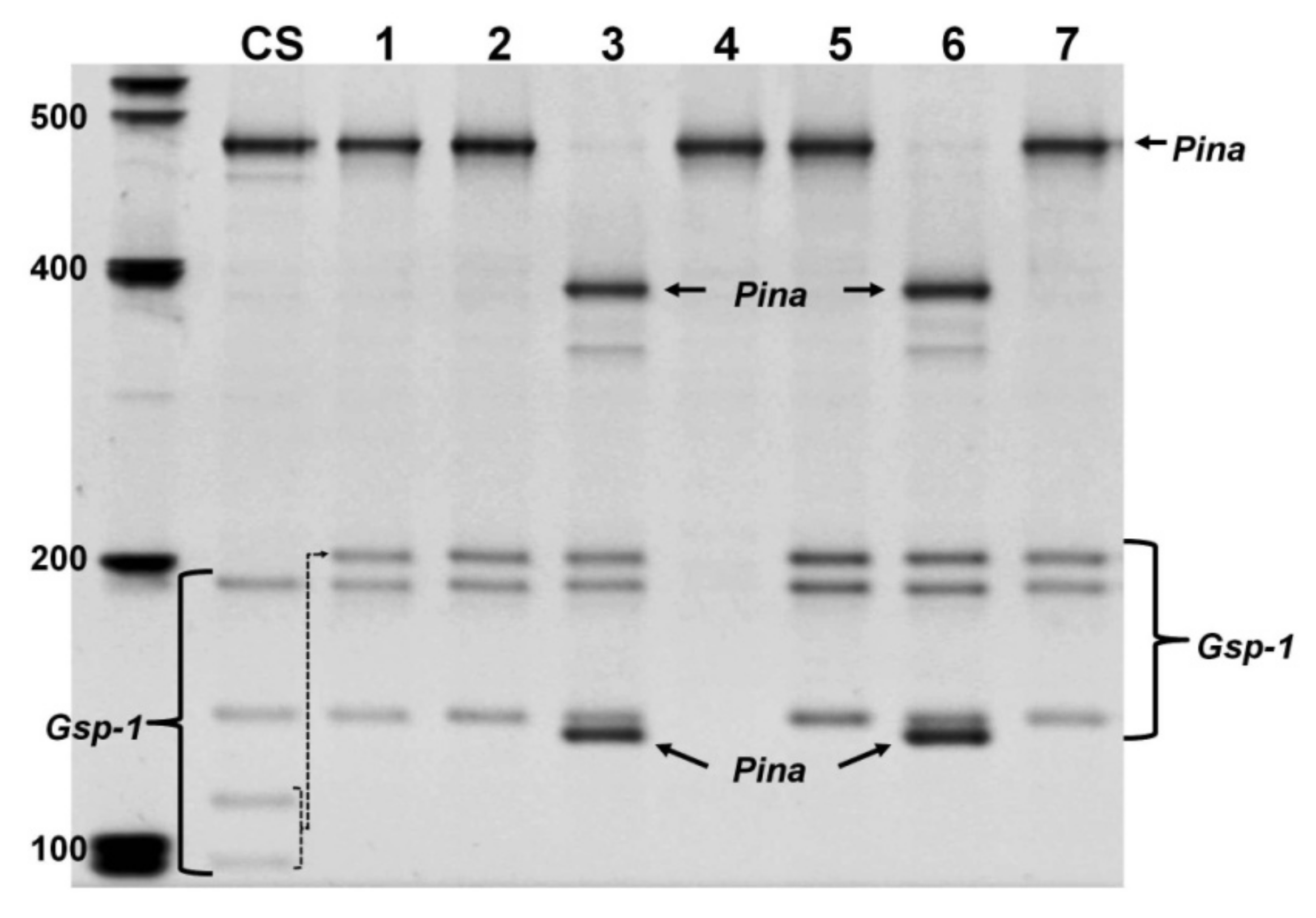 Agronomy 11 00816 g007