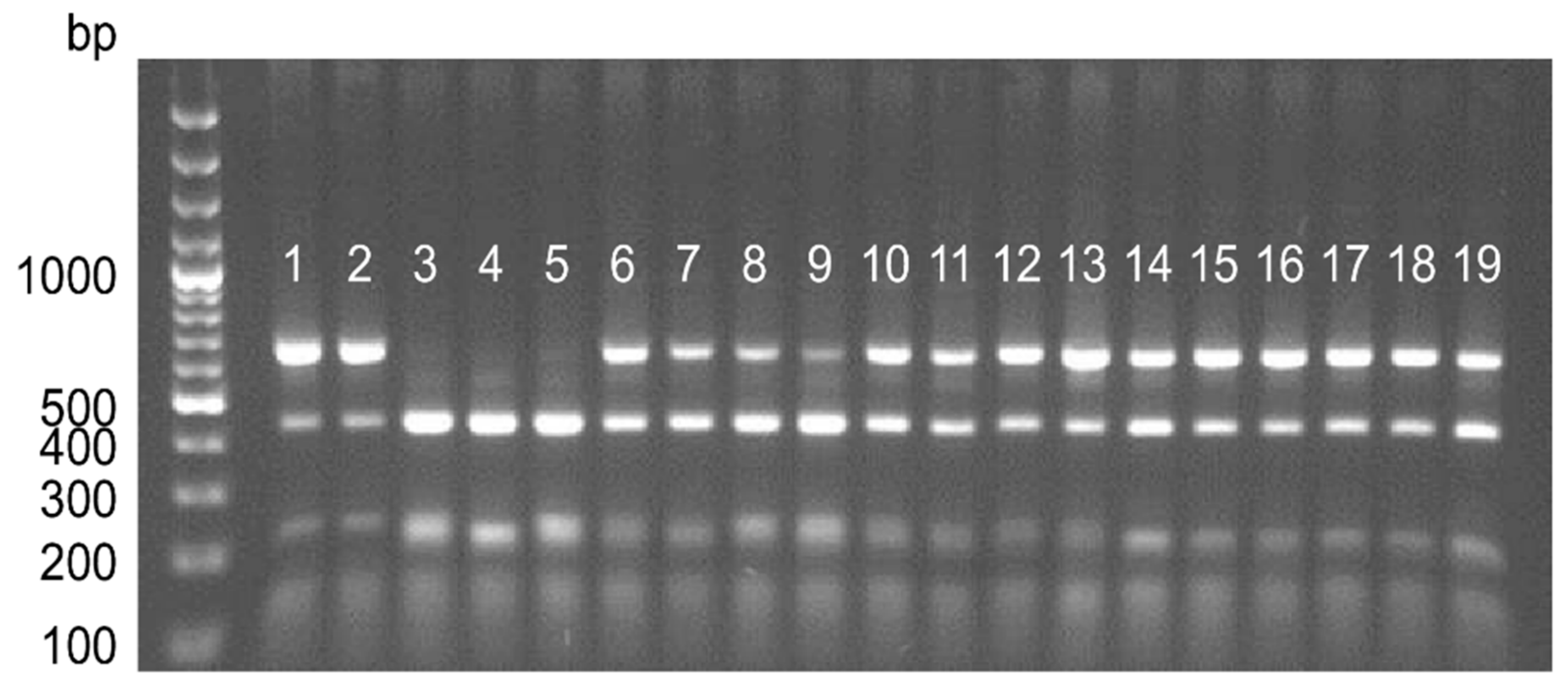 Agronomy 11 00845 g001