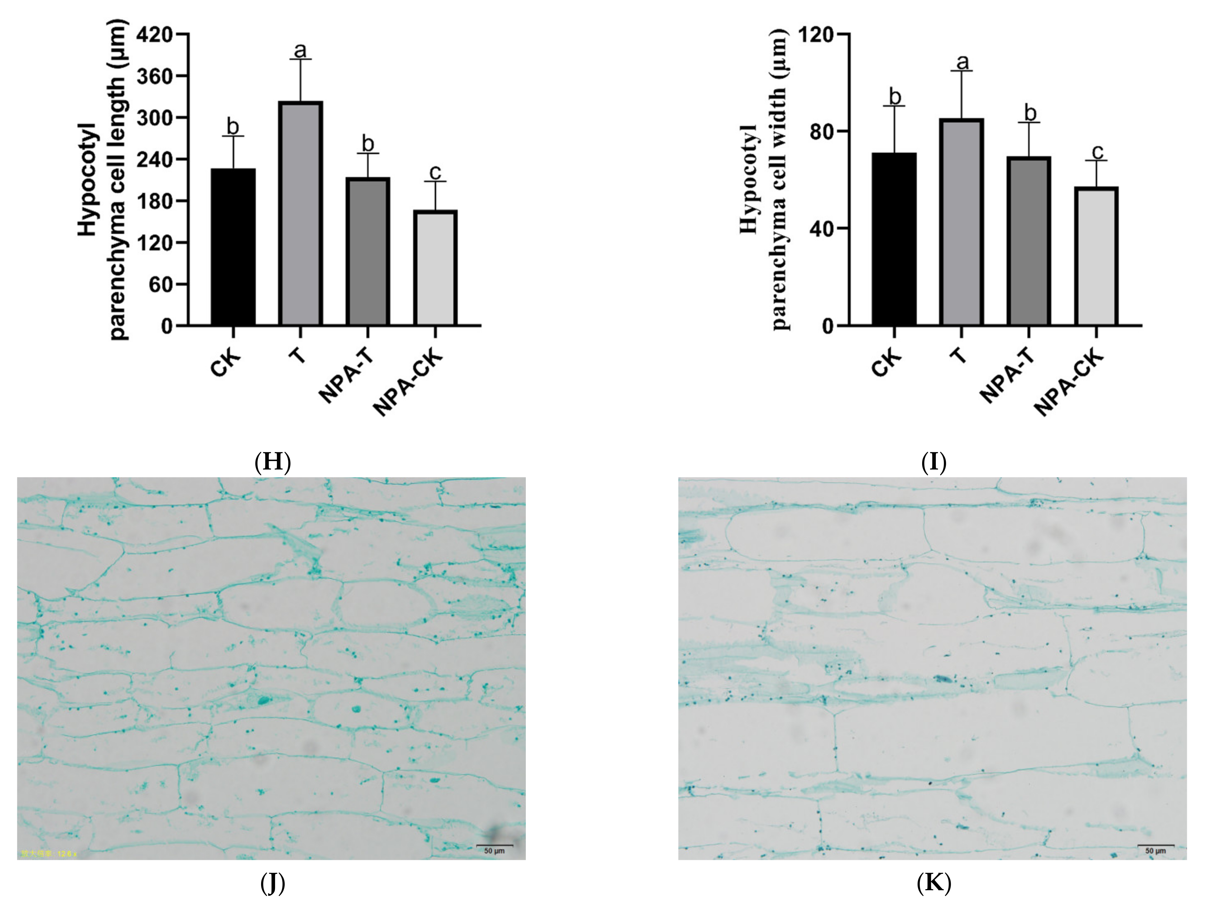 Agronomy 11 00853 g001b