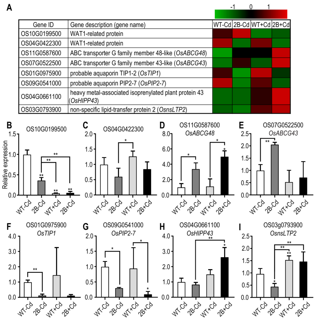 Agronomy 11 00918 g002 Agronomy 11 00918 g002