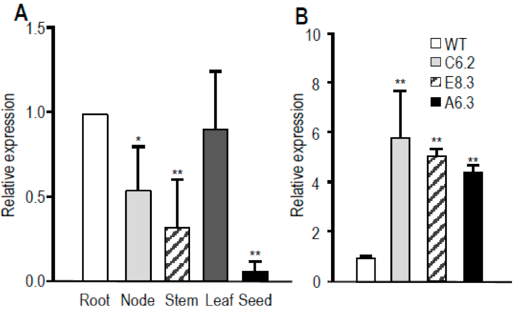 Agronomy 11 00918 g004 Agronomy 11 00918 g004
