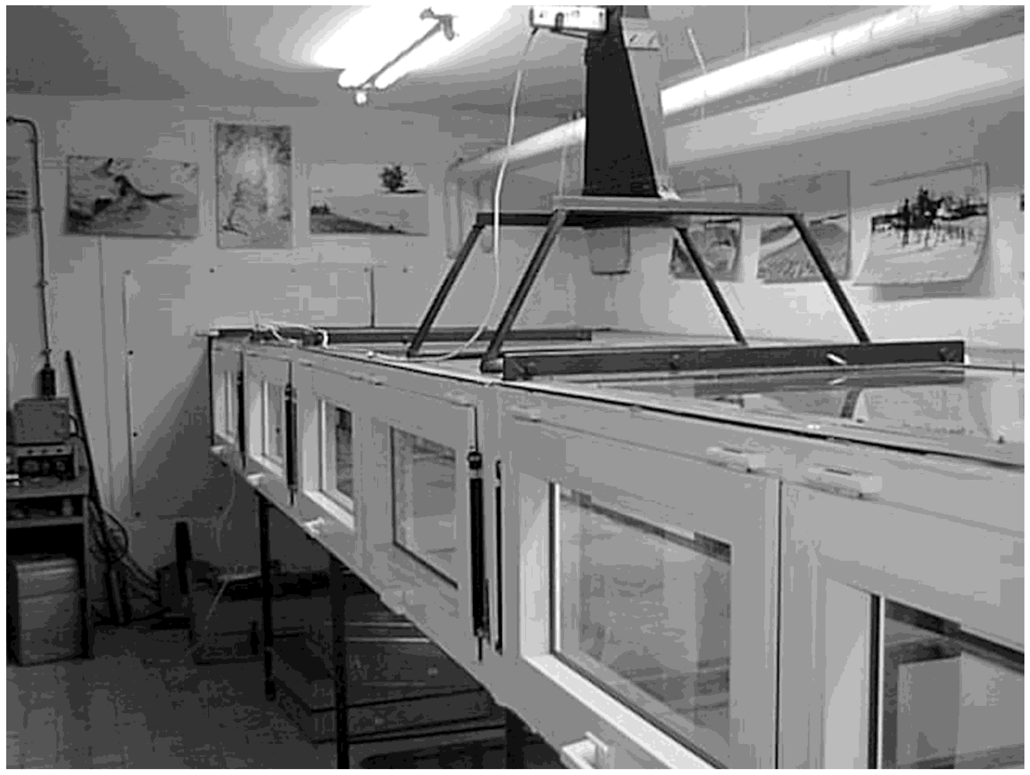 Agronomy 11 00935 g002 Agronomy 11 00935 g002