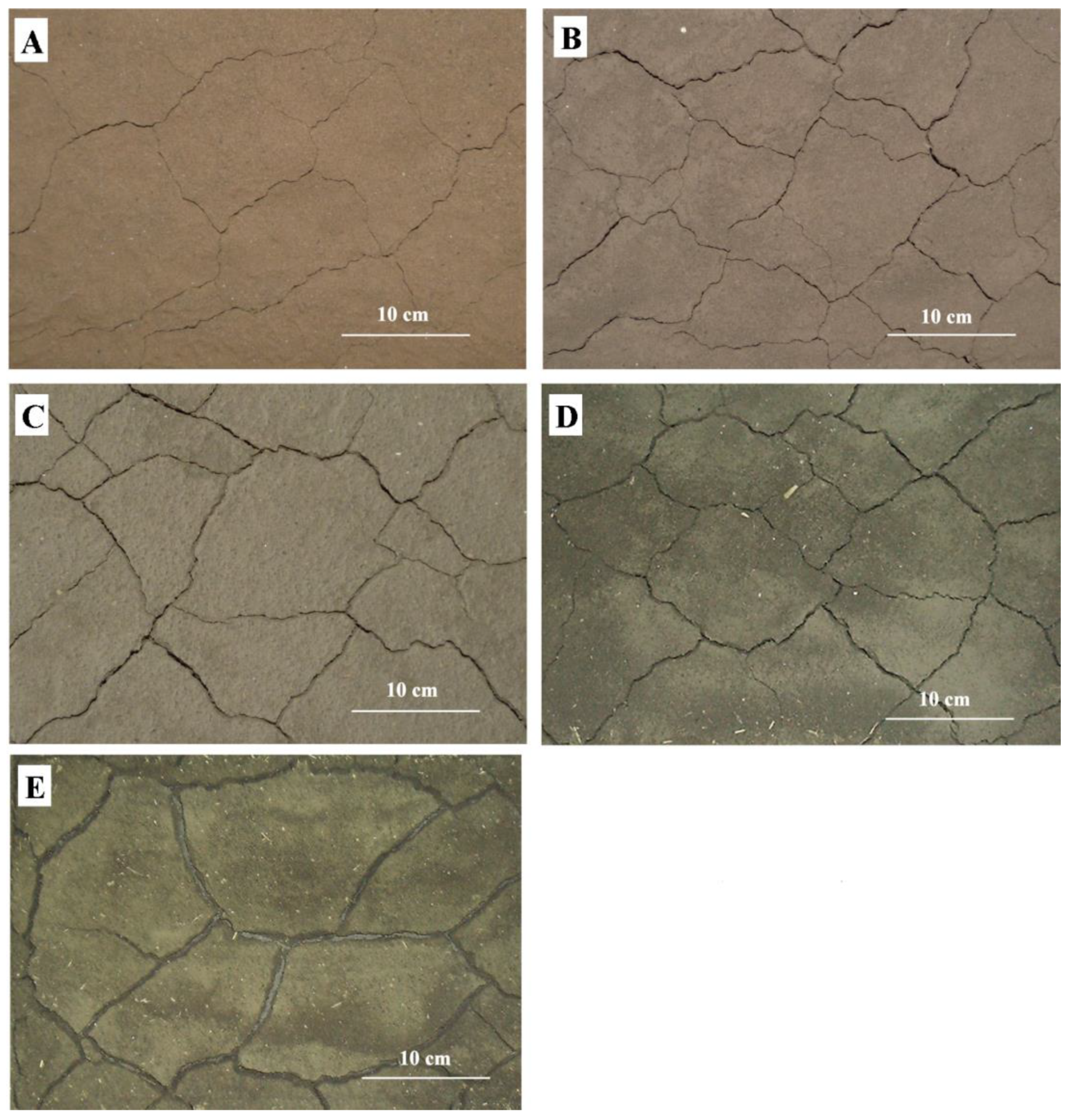 Agronomy 11 00935 g005 Agronomy 11 00935 g005