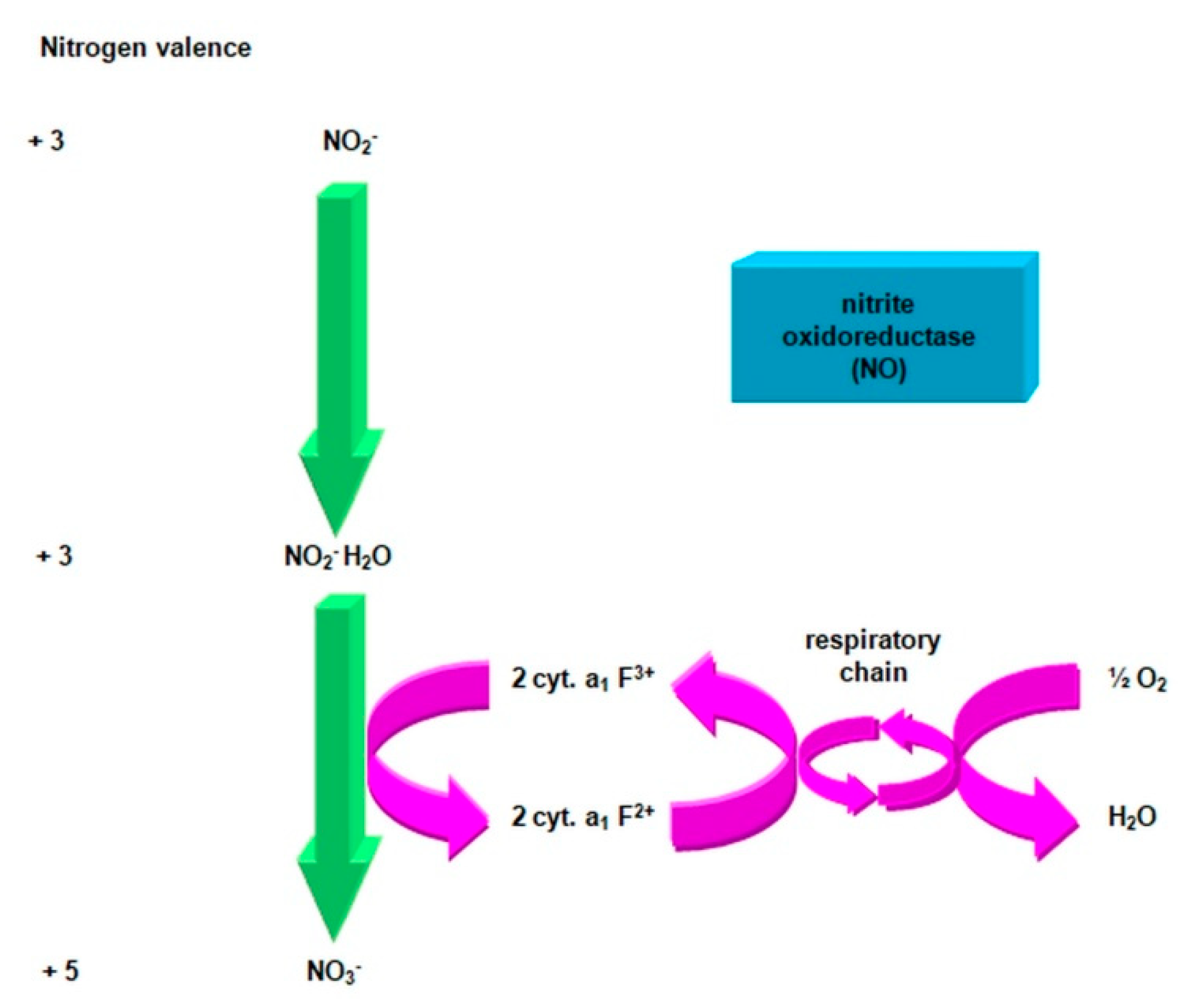 Agronomy 11 00977 g005