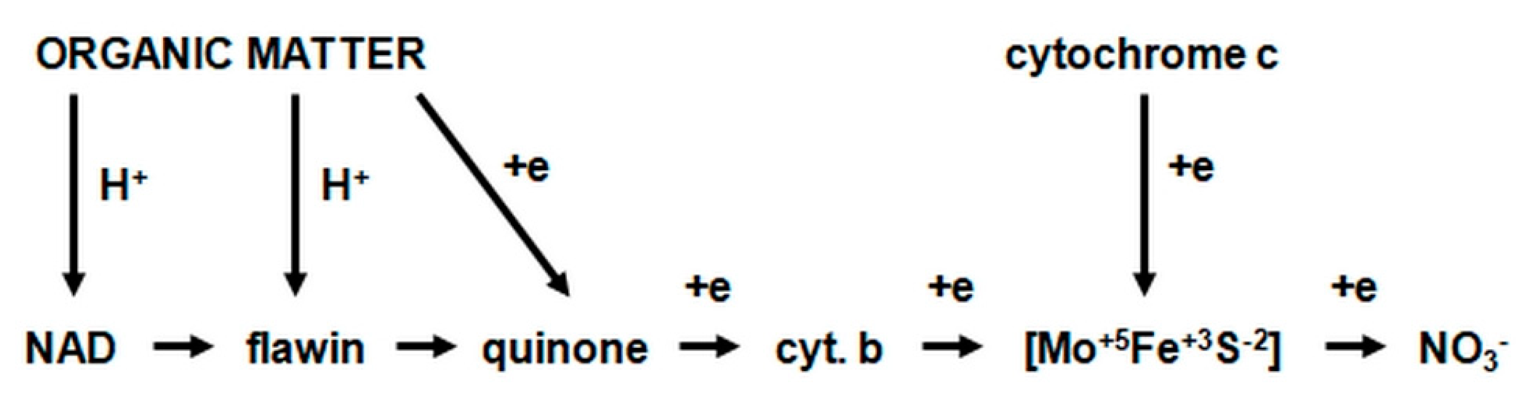Agronomy 11 00977 g011