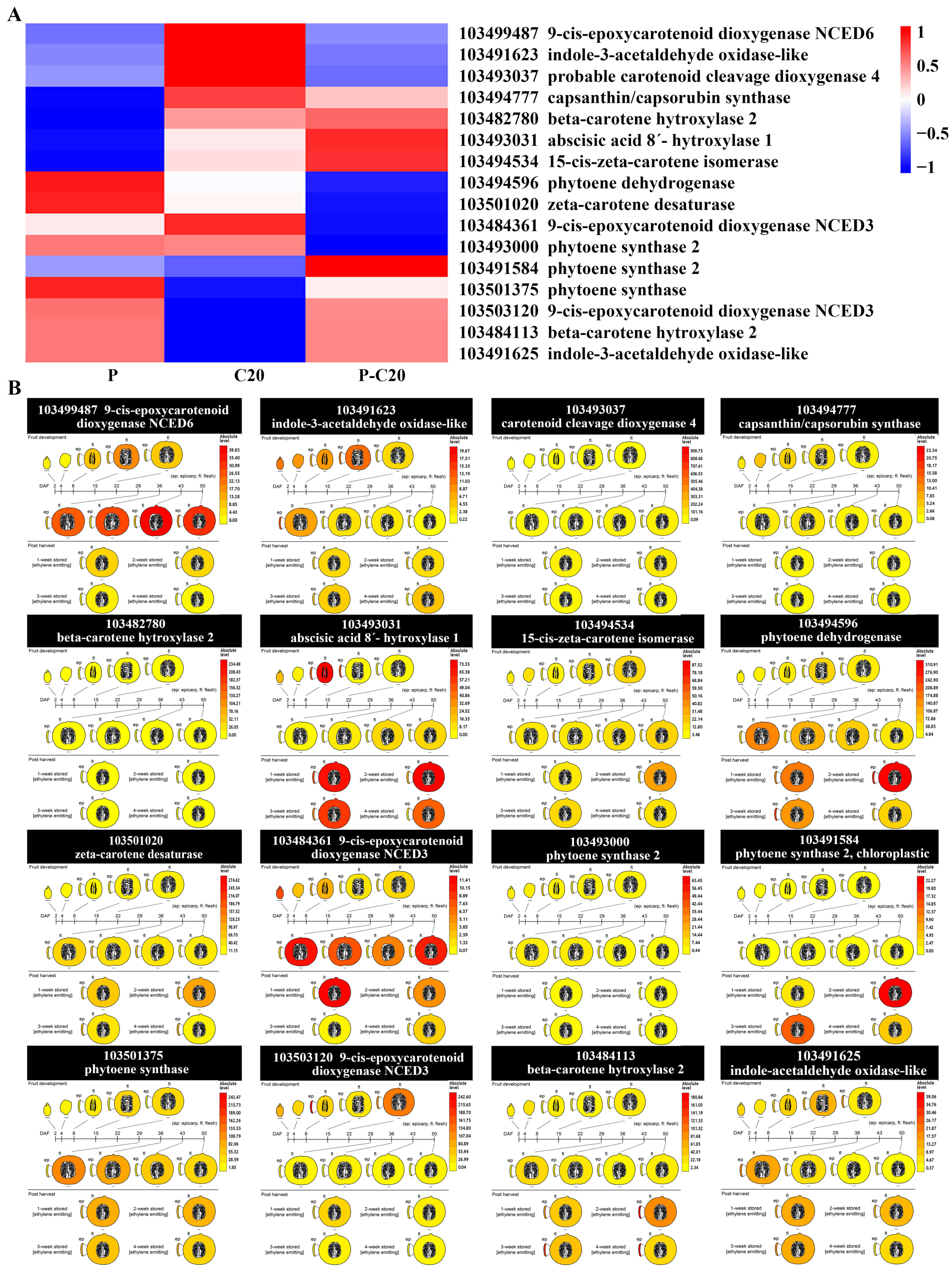 Agronomy 11 01007 g006 Agronomy 11 01007 g006
