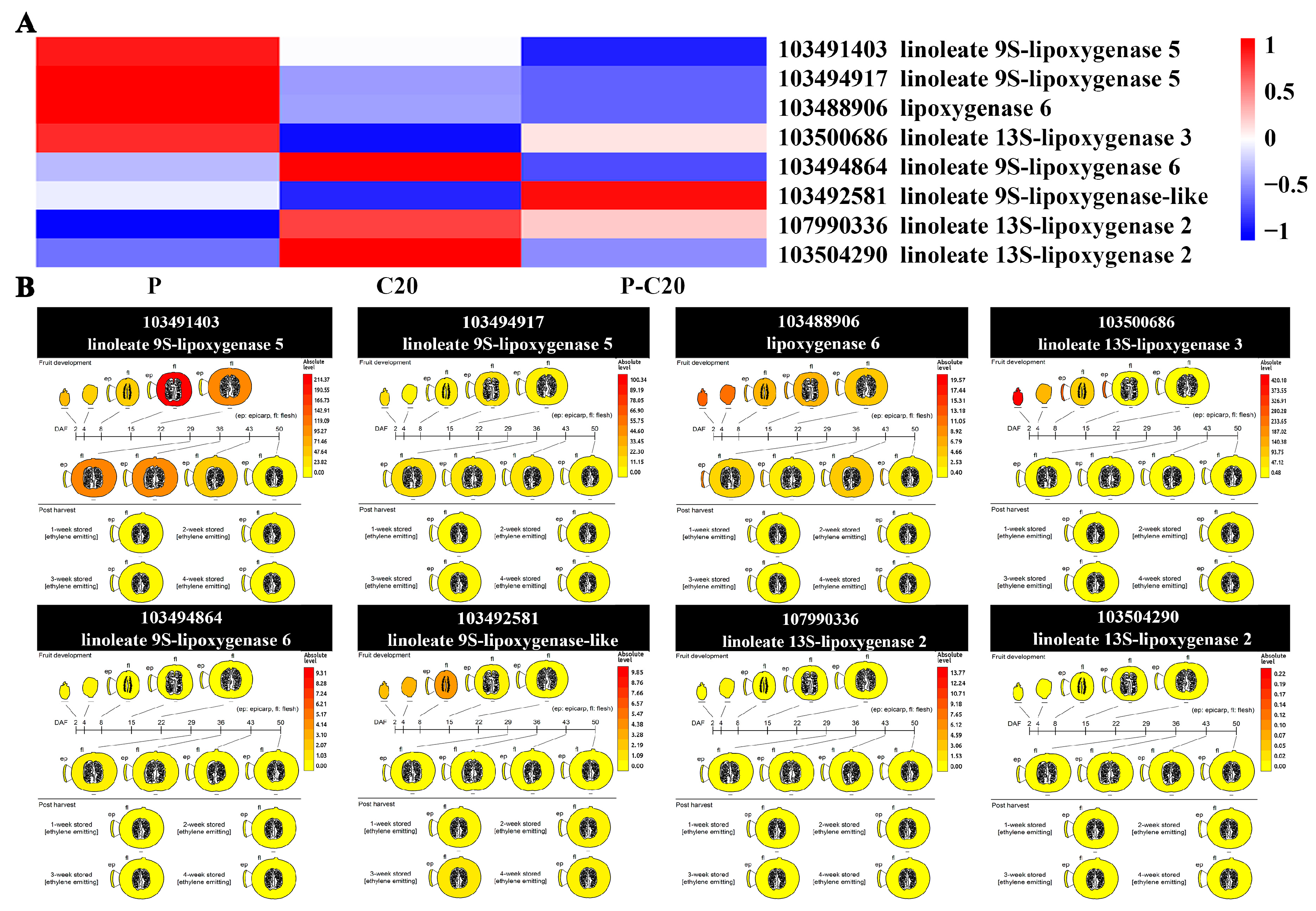 Agronomy 11 01007 g007 Agronomy 11 01007 g007