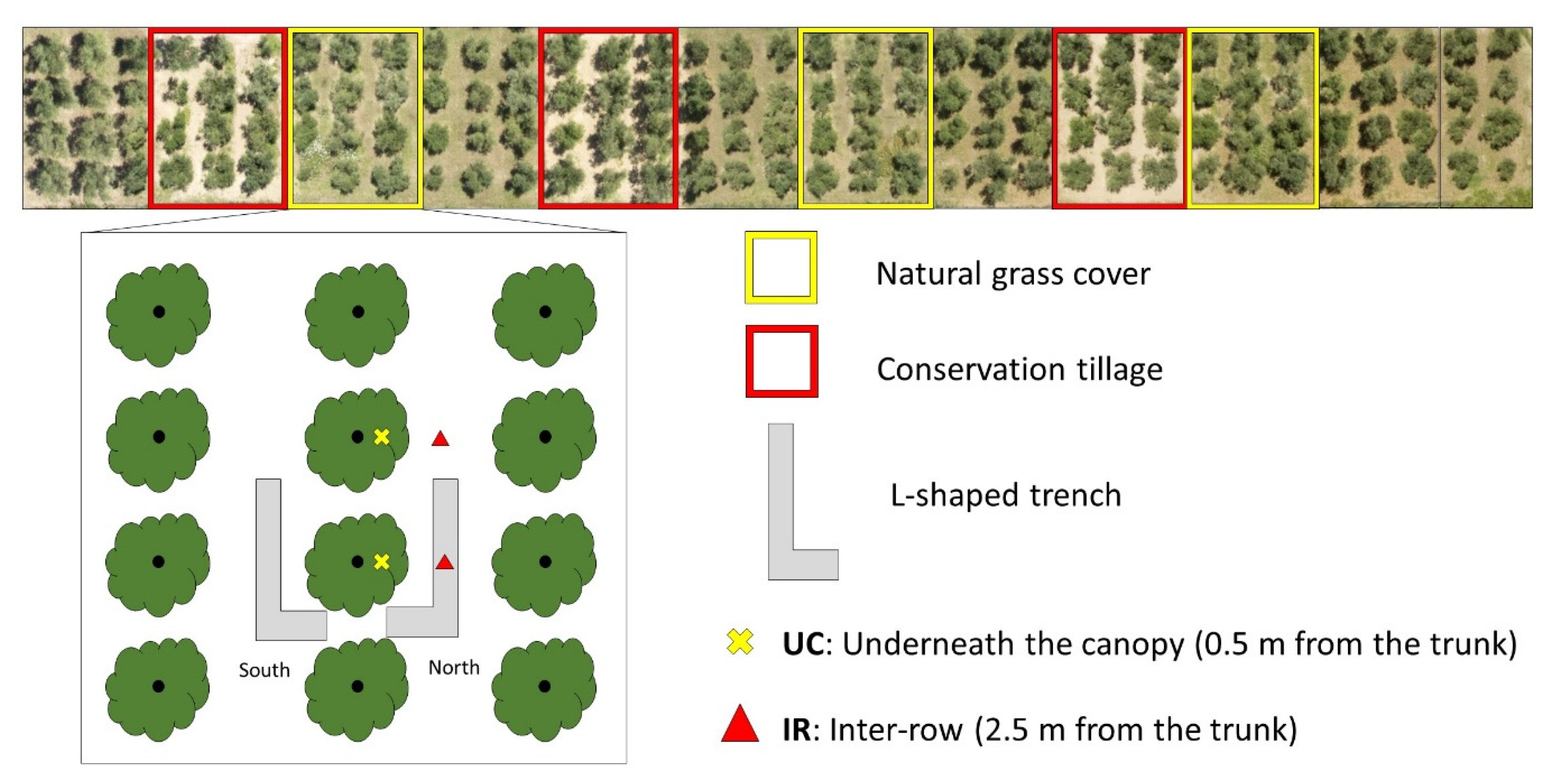 Agronomy 11 01036 g001 Agronomy 11 01036 g001
