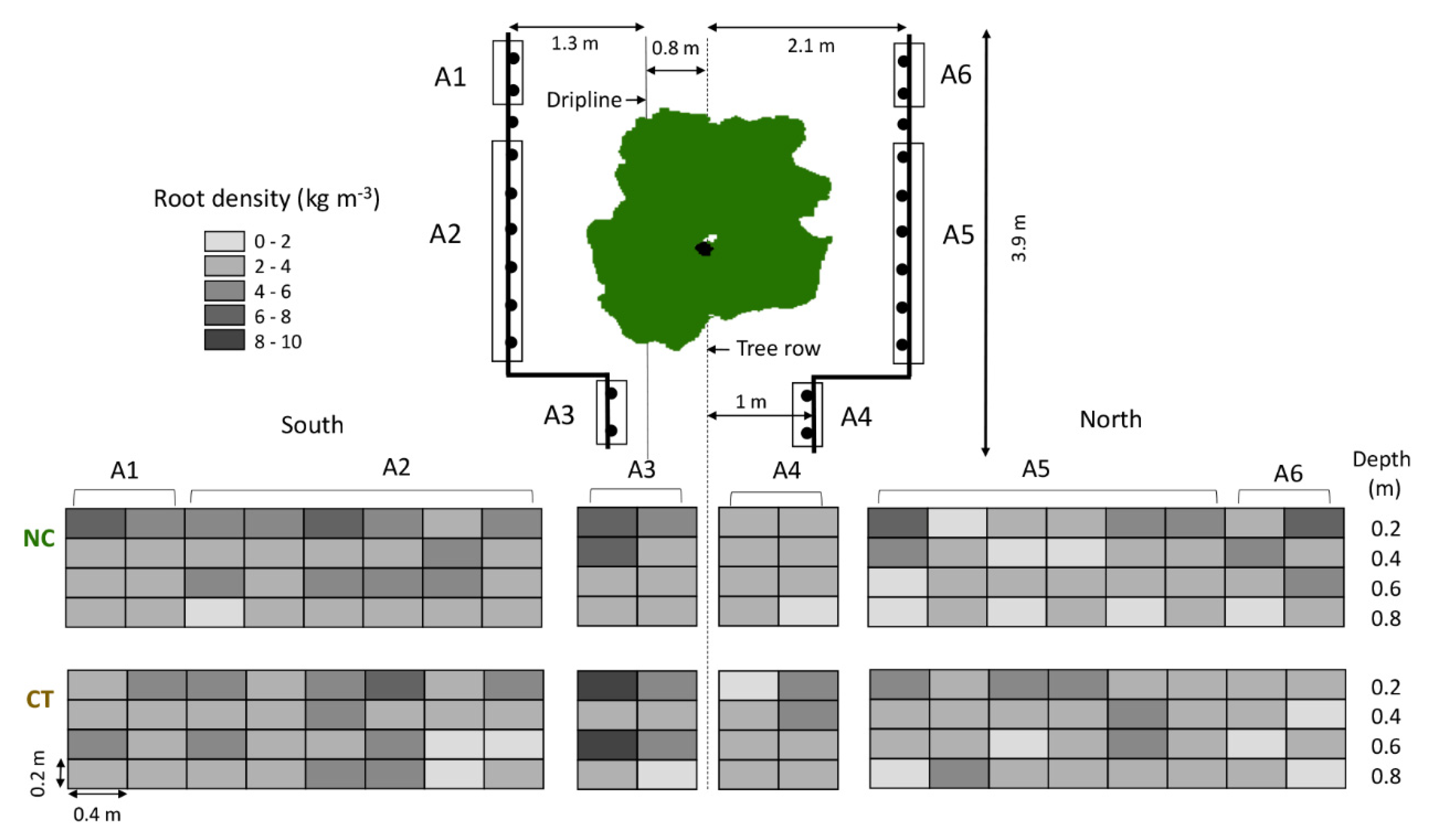 Agronomy 11 01036 g002 Agronomy 11 01036 g002