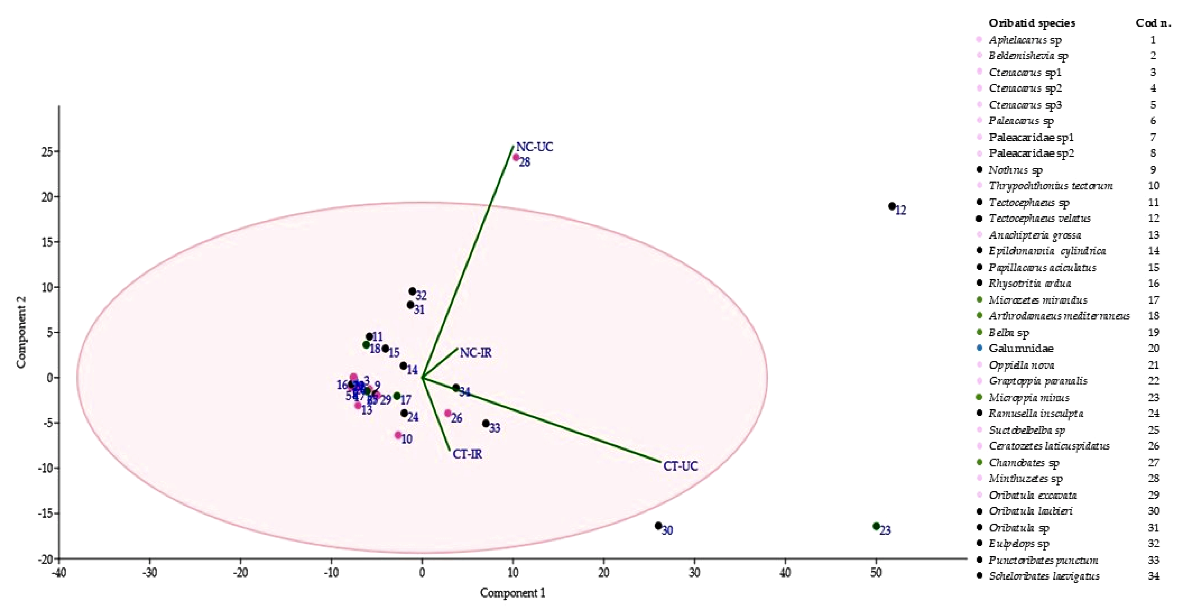 Agronomy 11 01036 g006 Agronomy 11 01036 g006