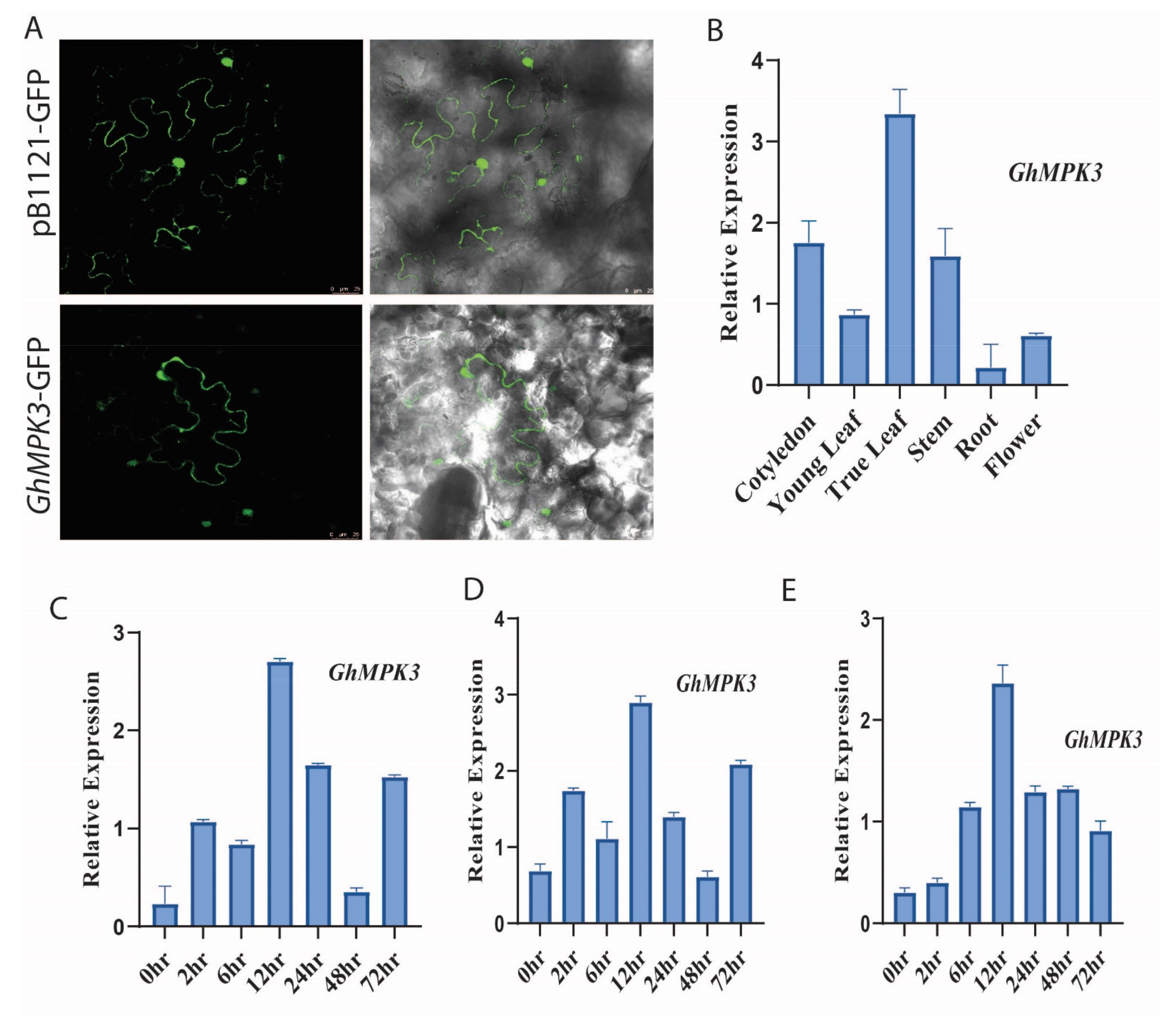 Agronomy 11 01049 g002