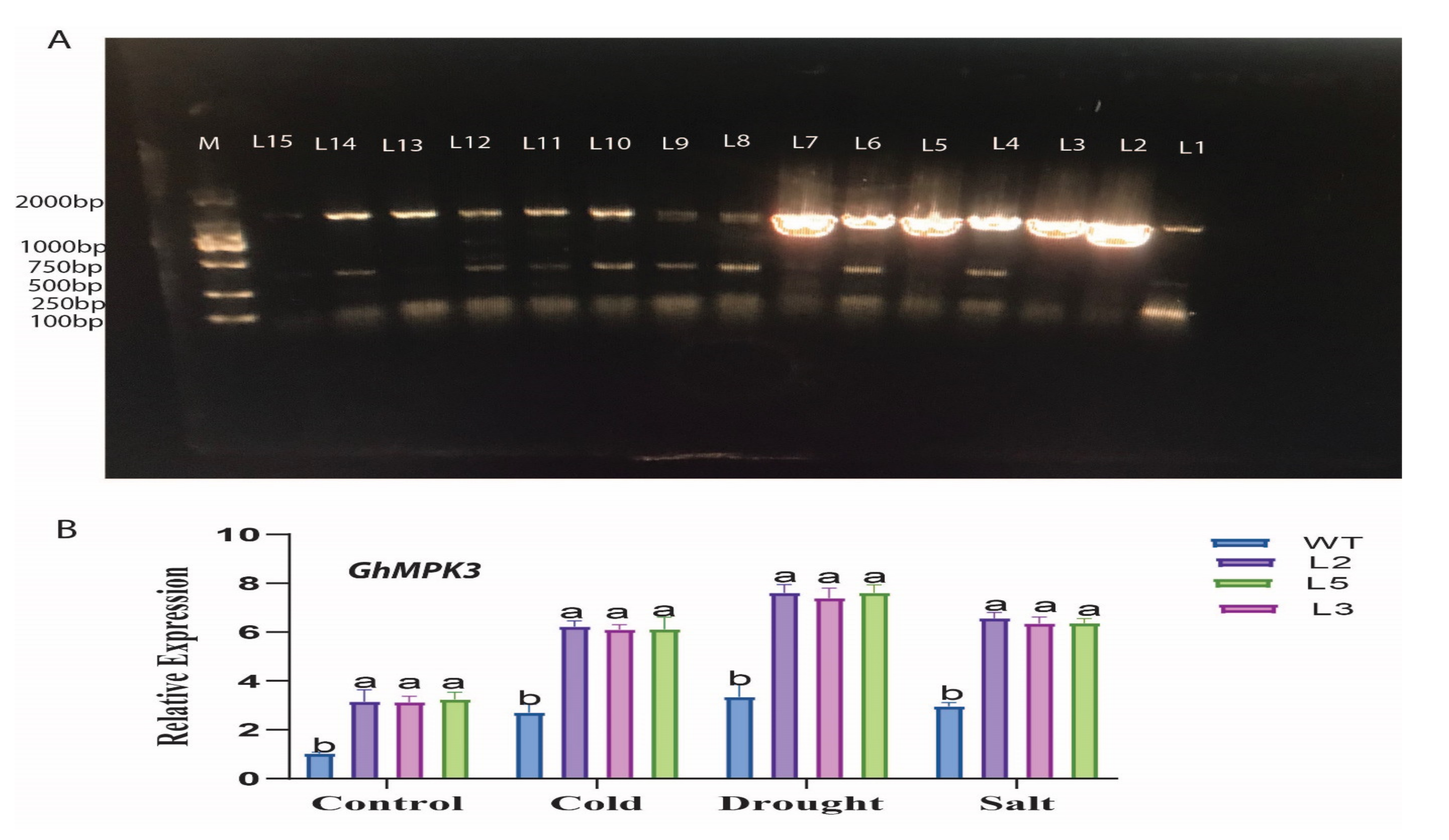 Agronomy 11 01049 g003
