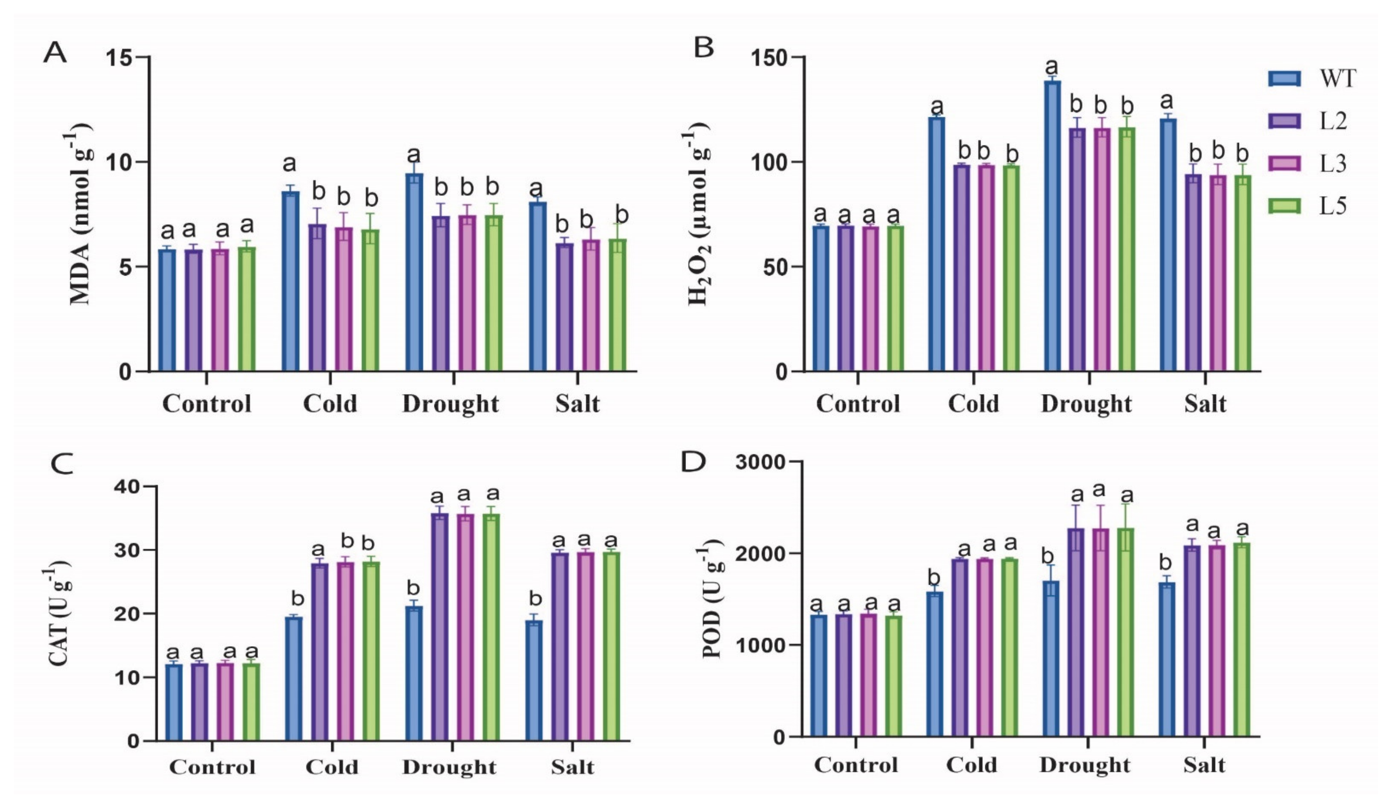Agronomy 11 01049 g006