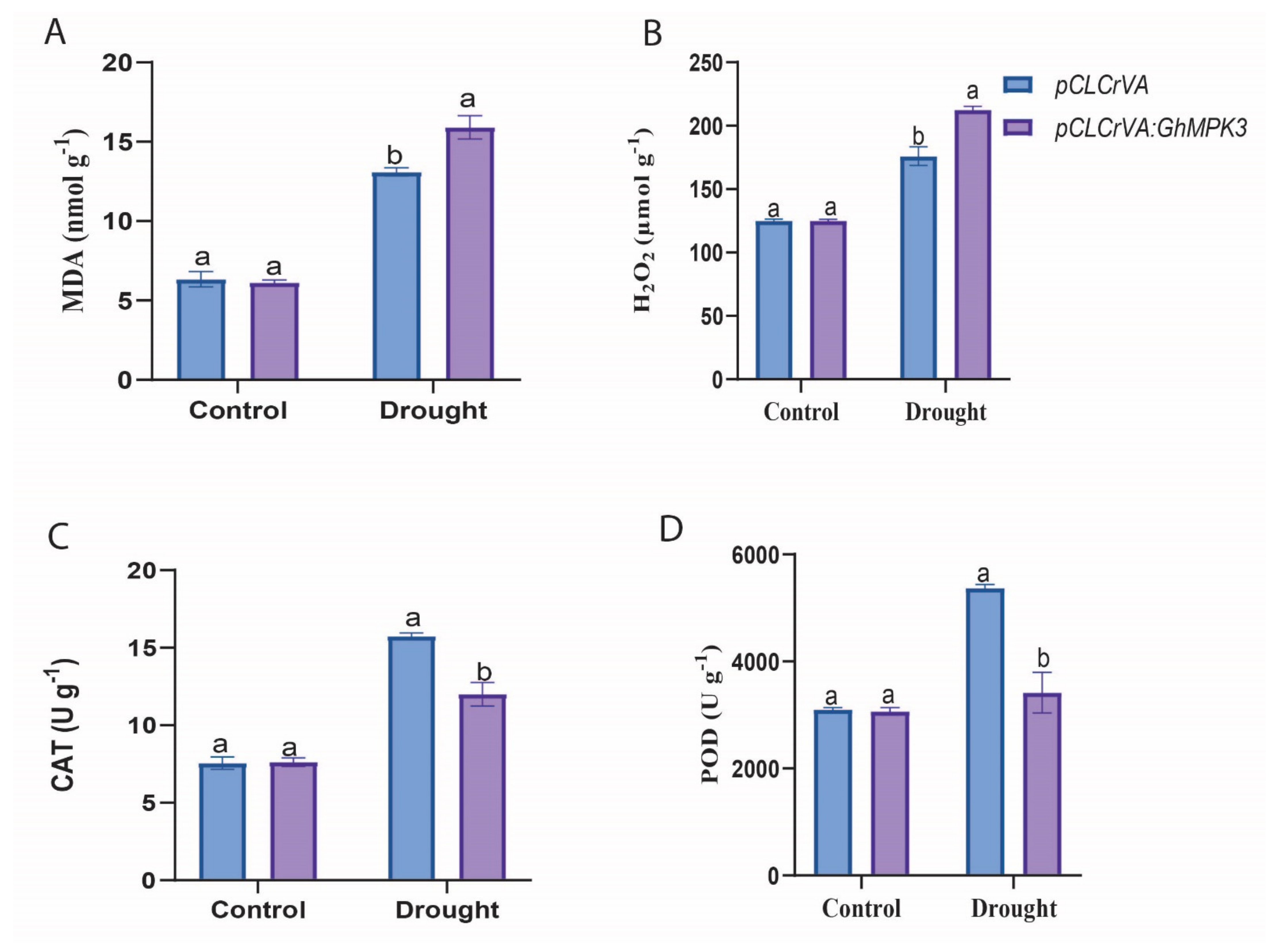 Agronomy 11 01049 g010