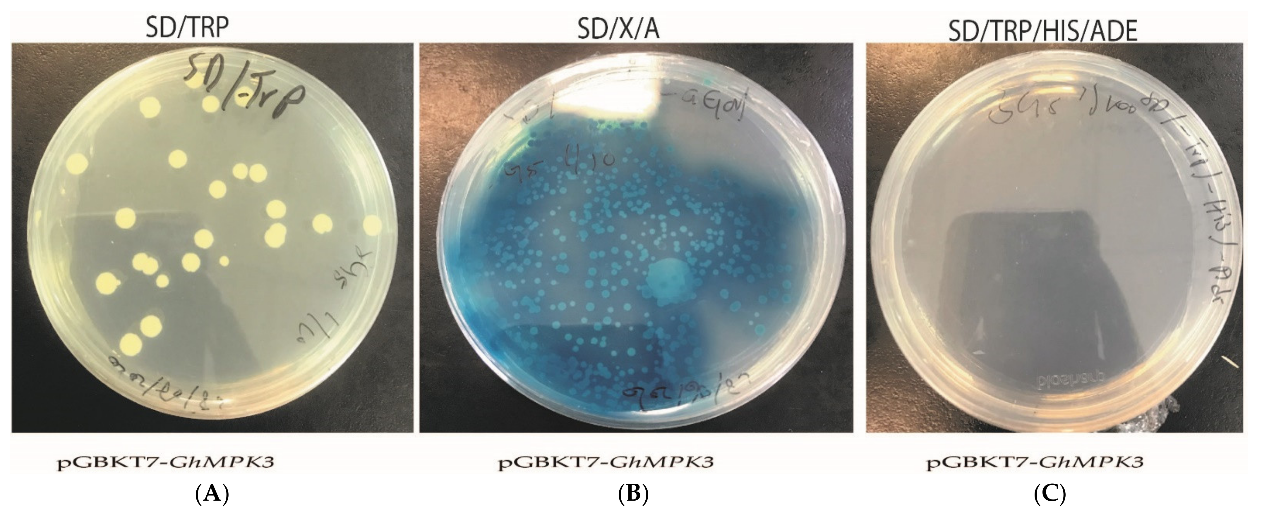 Agronomy 11 01049 g011