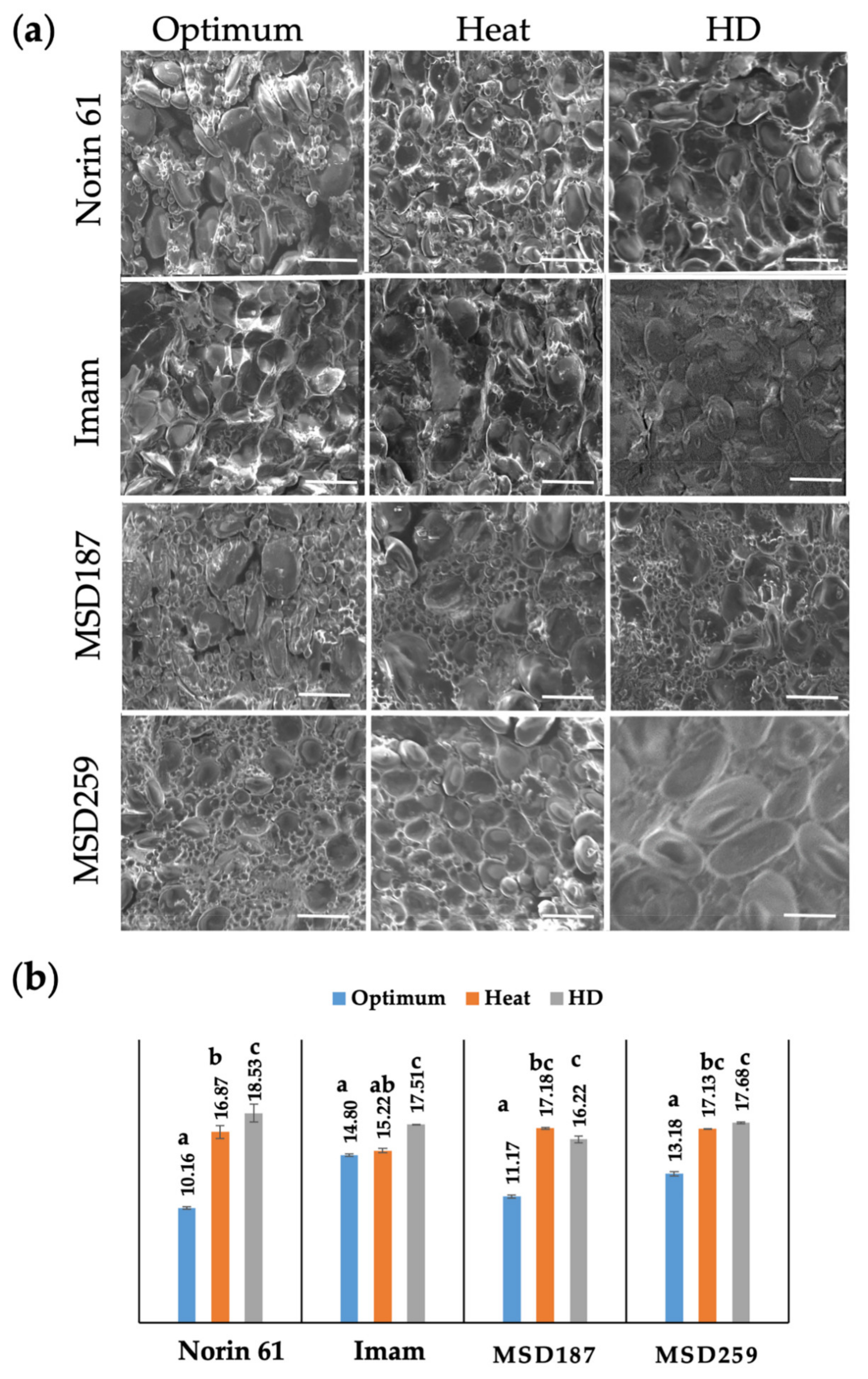 Agronomy 11 01061 g004