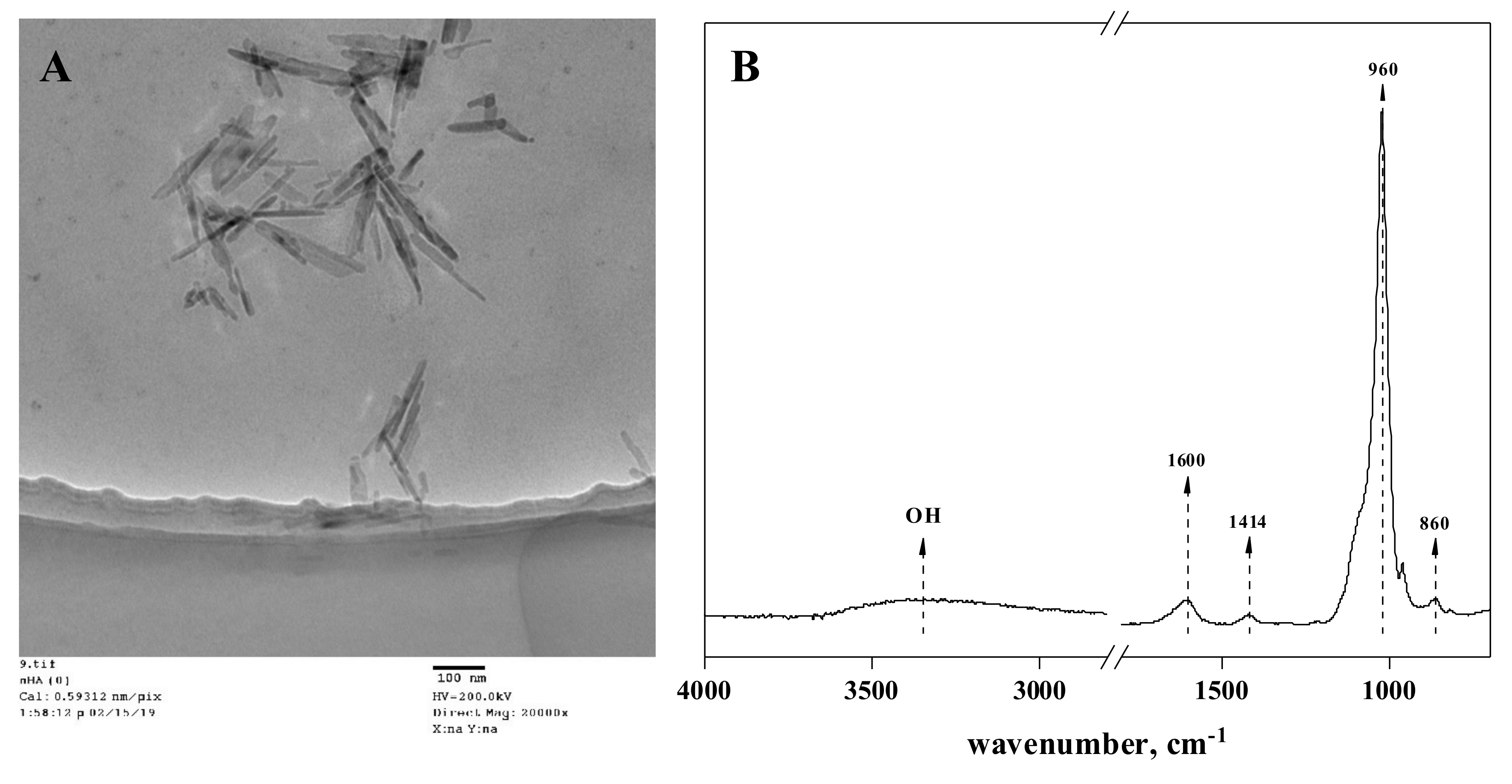 Agronomy 11 01086 g002 Agronomy 11 01086 g002