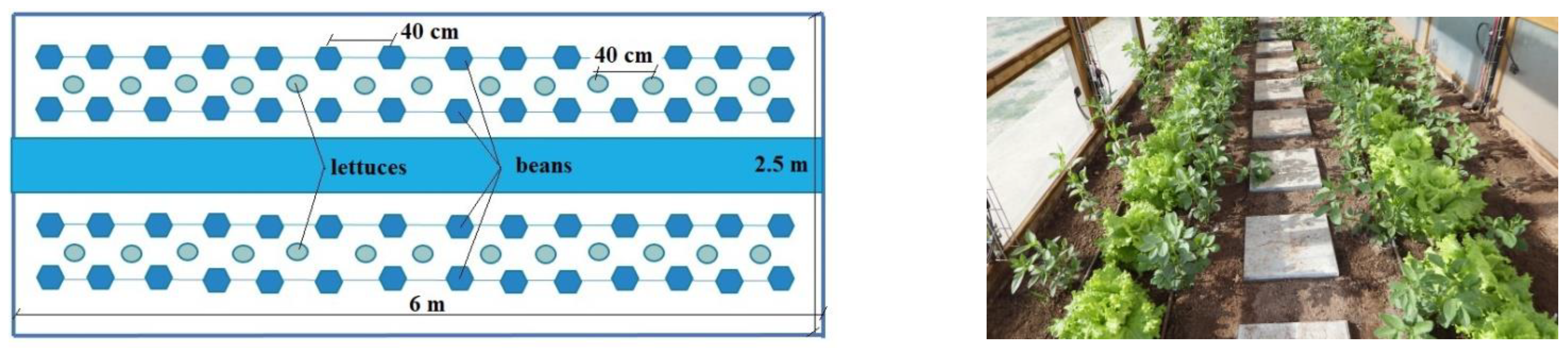 Agronomy 11 01097 g010