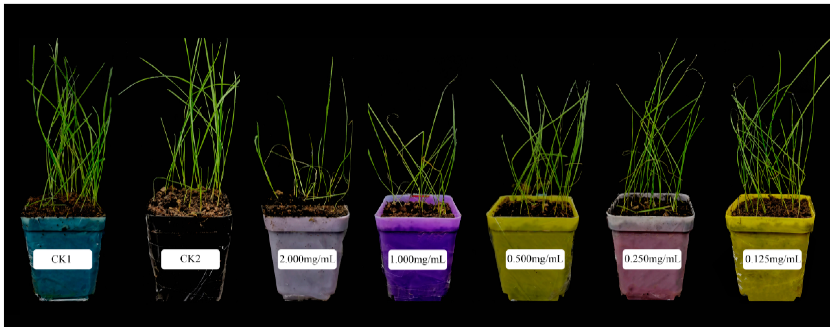Agronomy 11 01115 g003