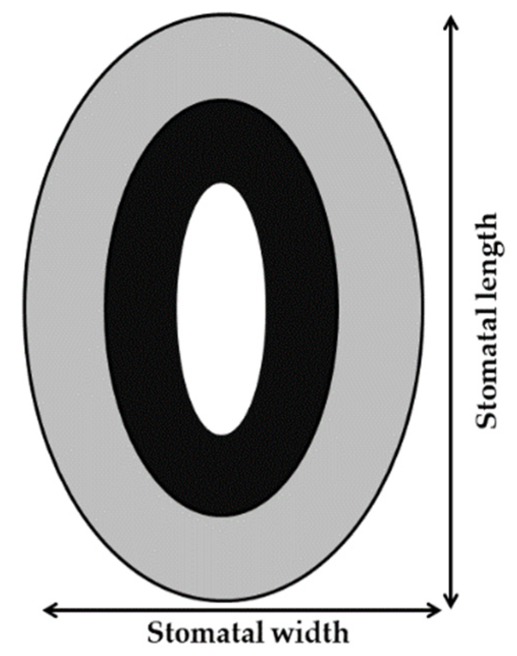 Agronomy 11 01126 g001 Agronomy 11 01126 g001