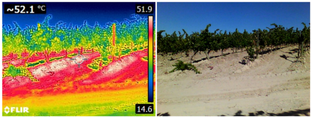 Agronomy 11 01192 g003 Agronomy 11 01192 g003