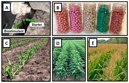 PDF] Assessment of Fertilizer Management Practices among Yam Farmers and  Consumers Perception on the Quality of Yam Grown with Fertilizers |  Semantic Scholar