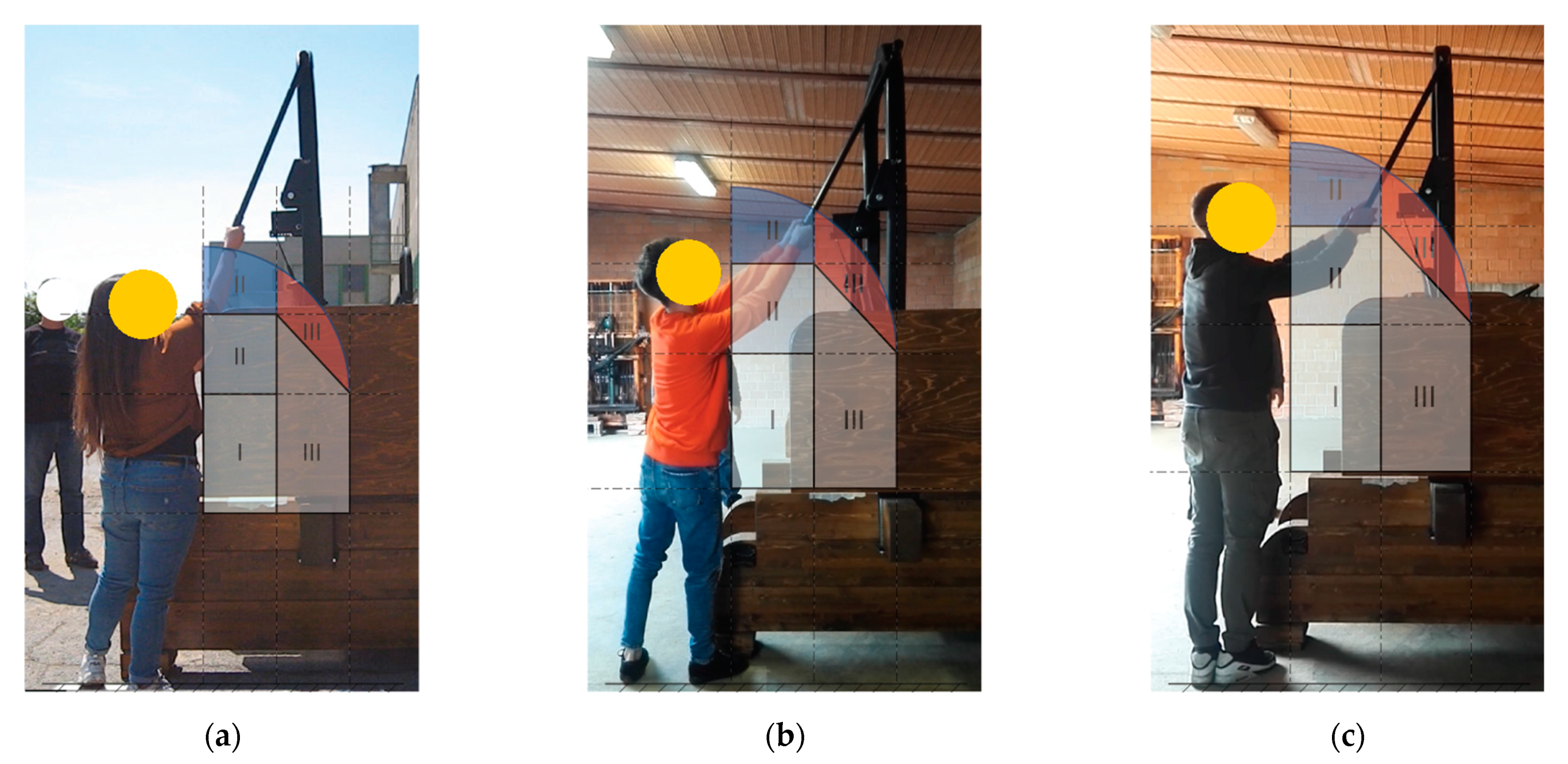 Agronomy 11 01303 g011