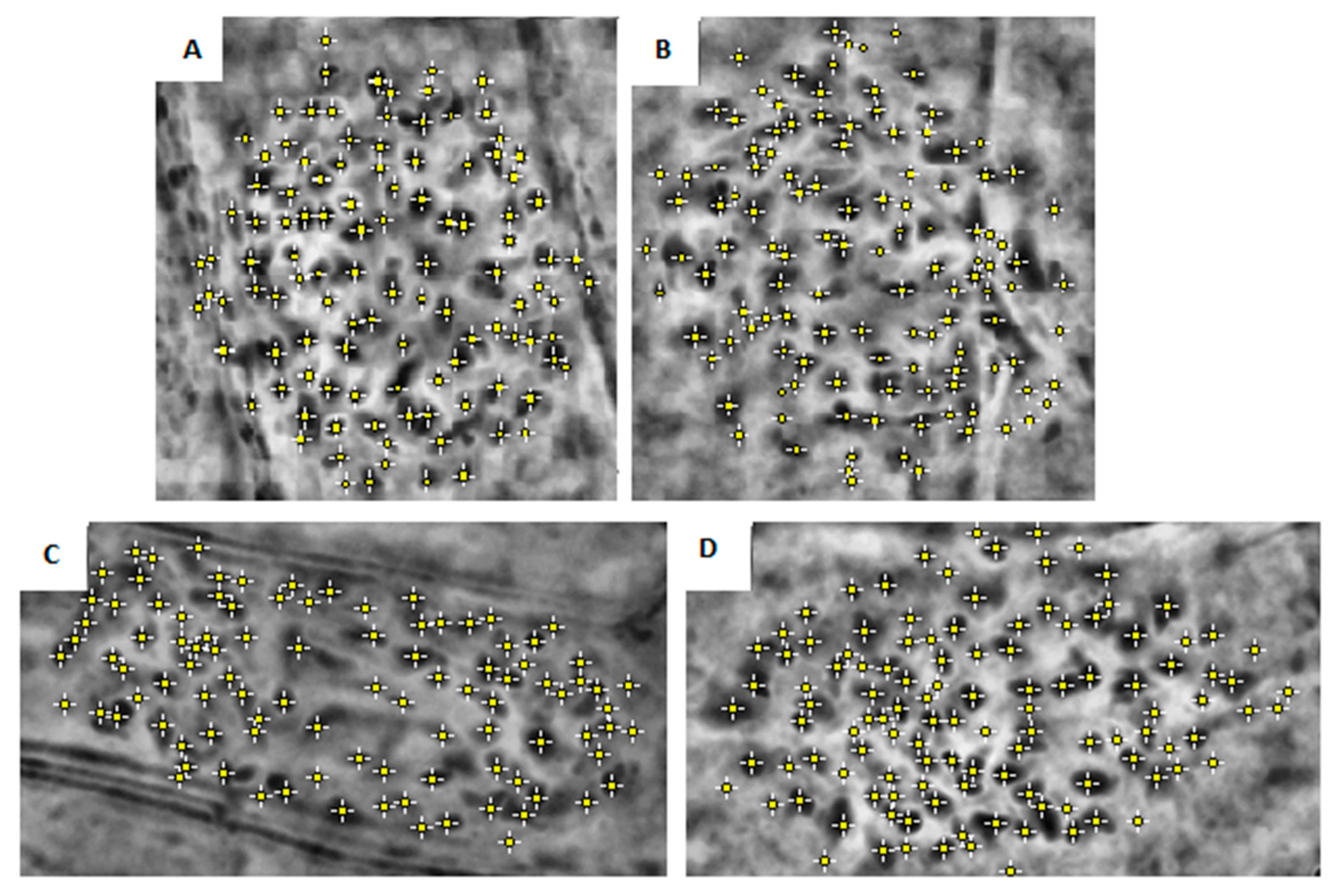 Agronomy 11 01347 g001