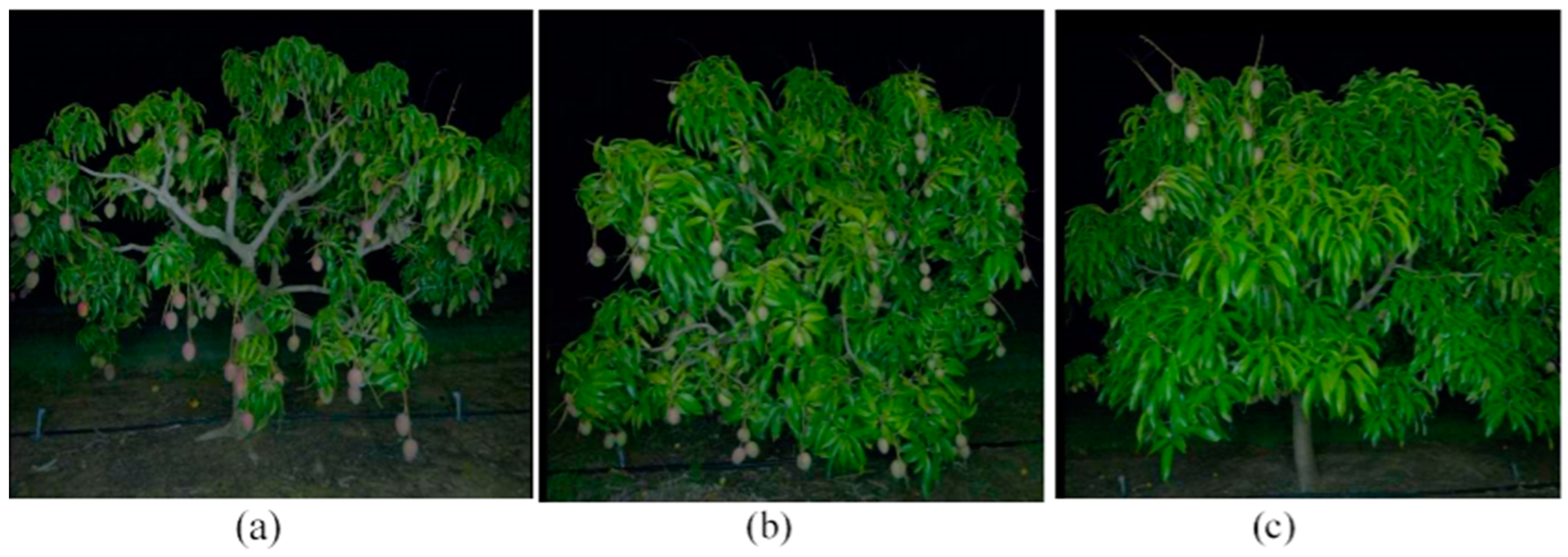 Agronomy 11 01409 g002