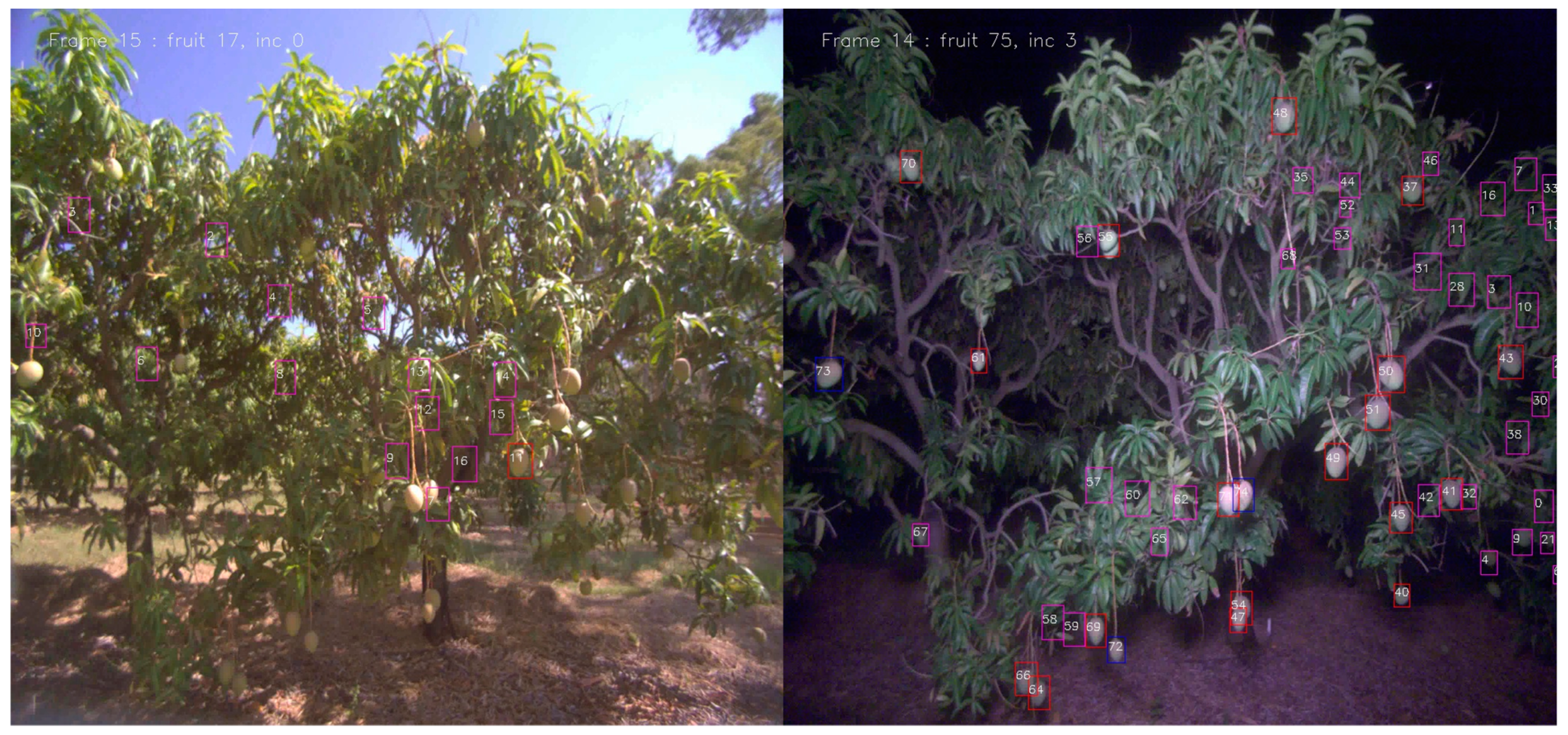 Agronomy 11 01409 g006