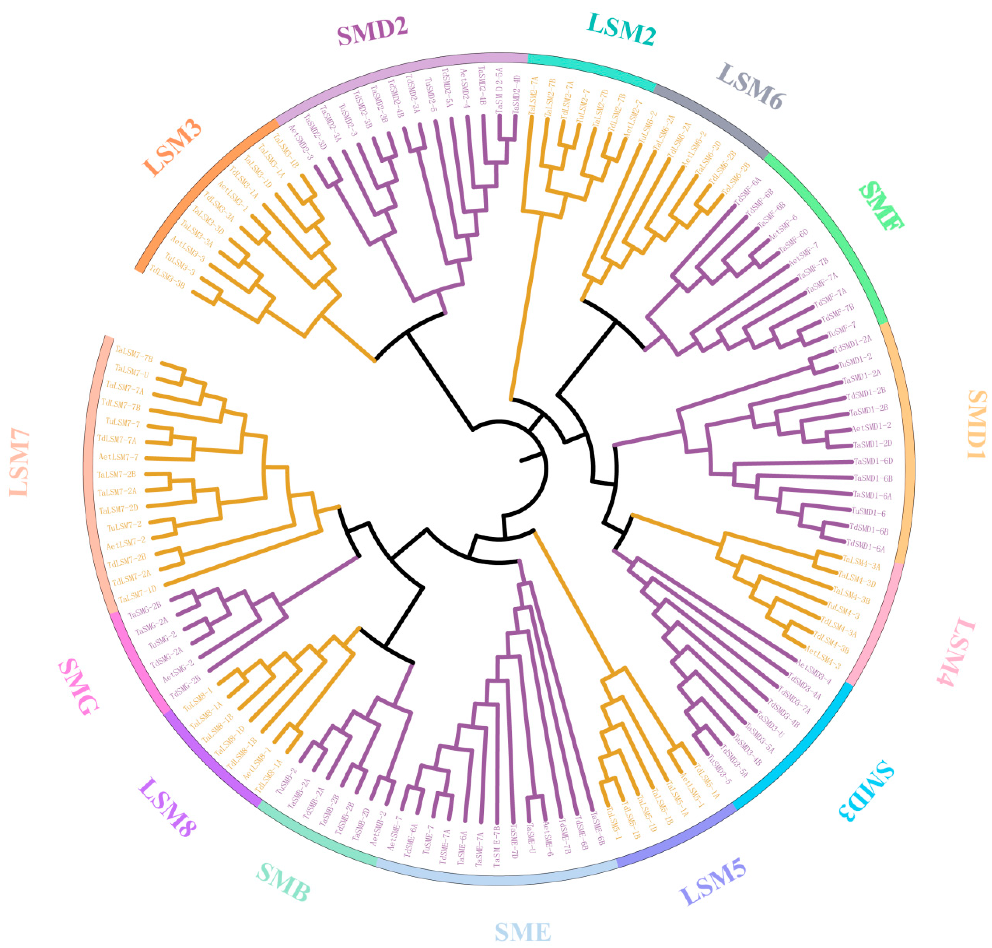 Agronomy 11 01429 g004