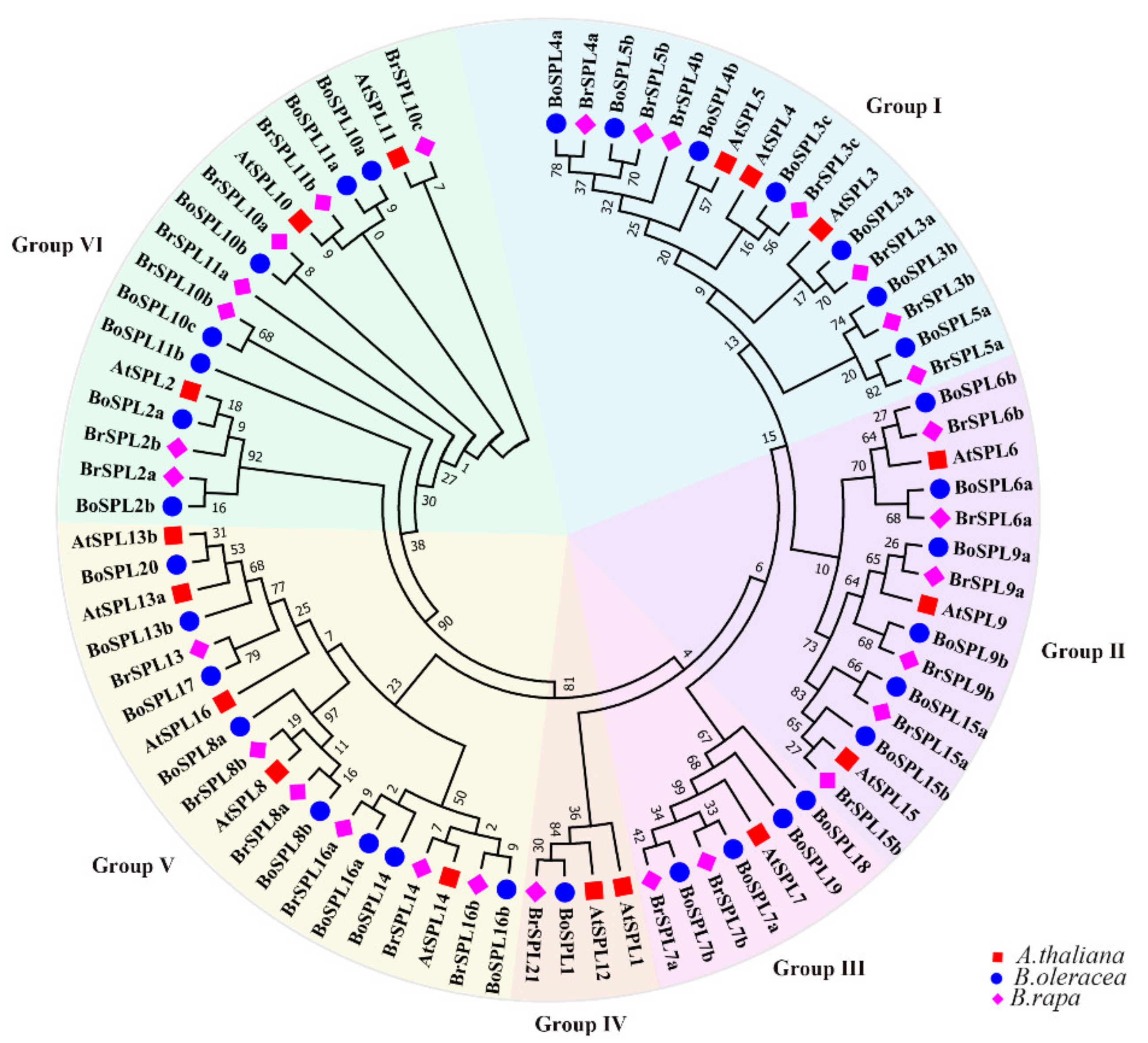 Agronomy 11 01445 g001