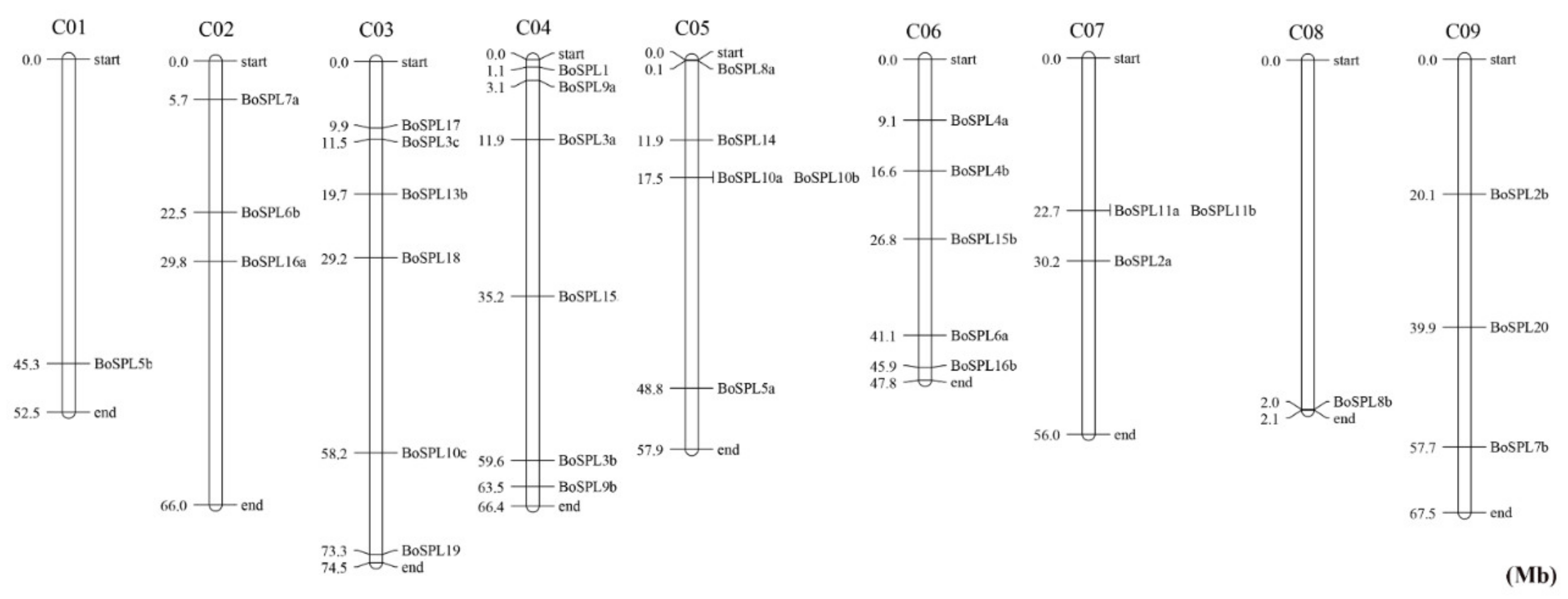 Agronomy 11 01445 g002