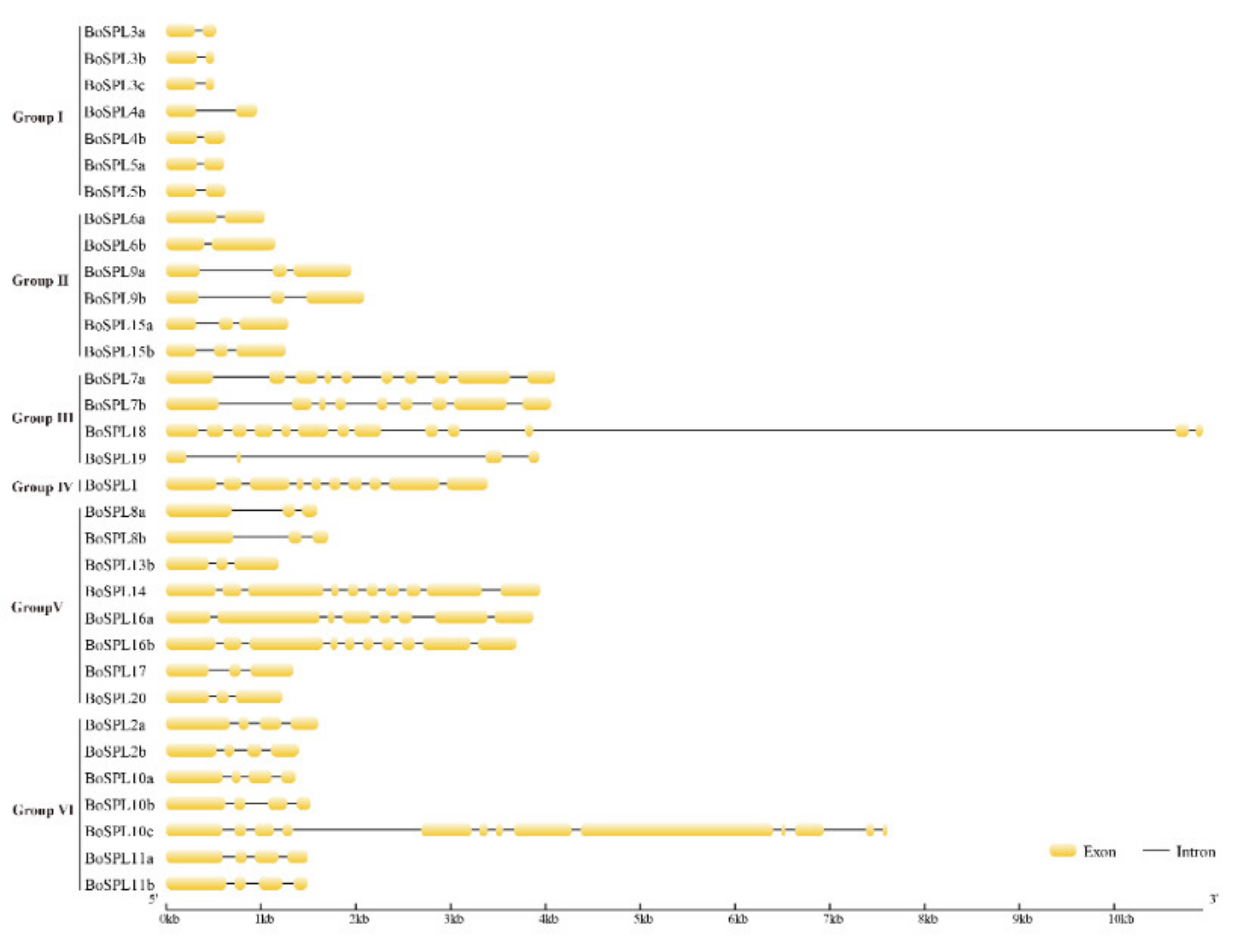 Agronomy 11 01445 g004