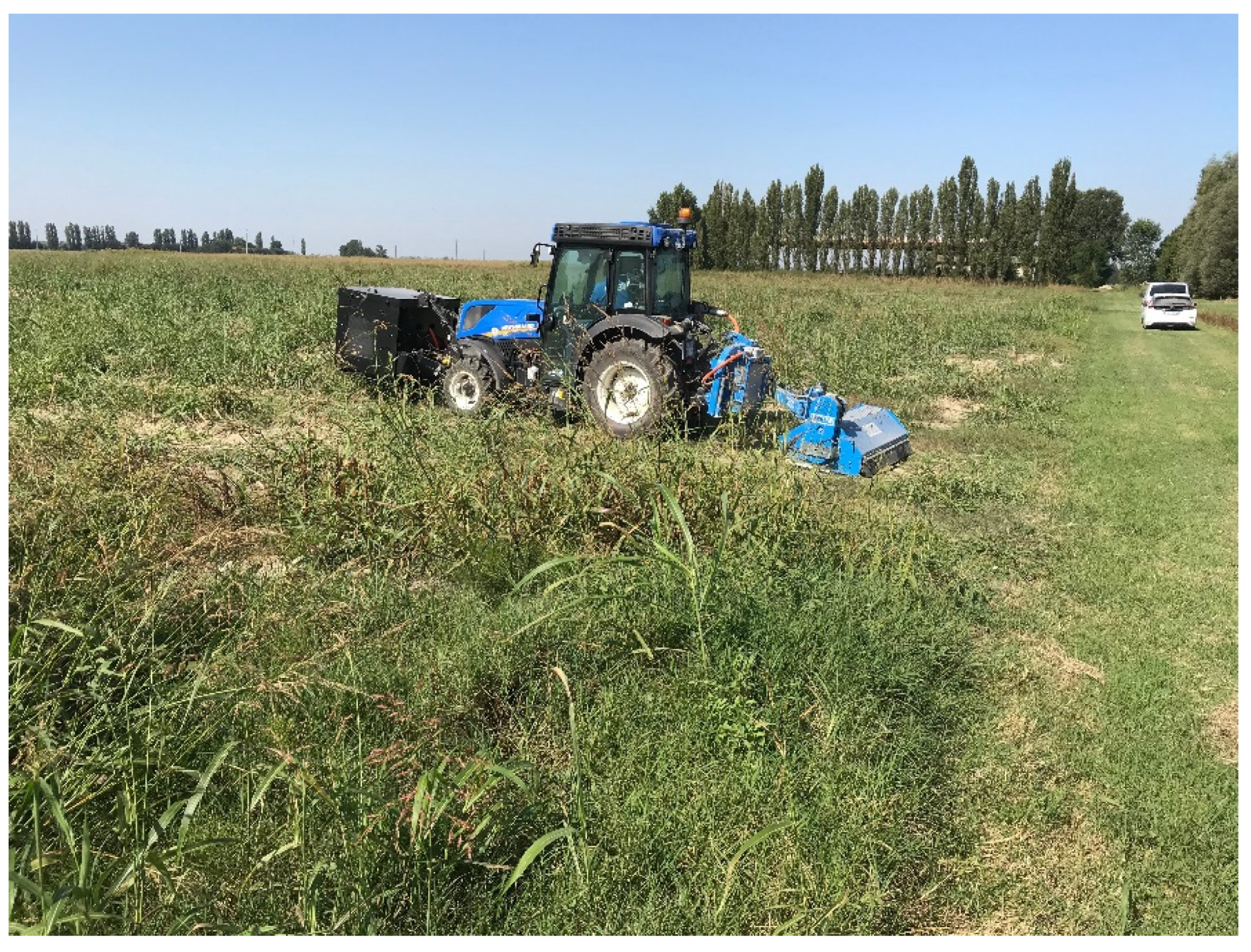 Agronomy 11 01447 g009 Agronomy 11 01447 g009