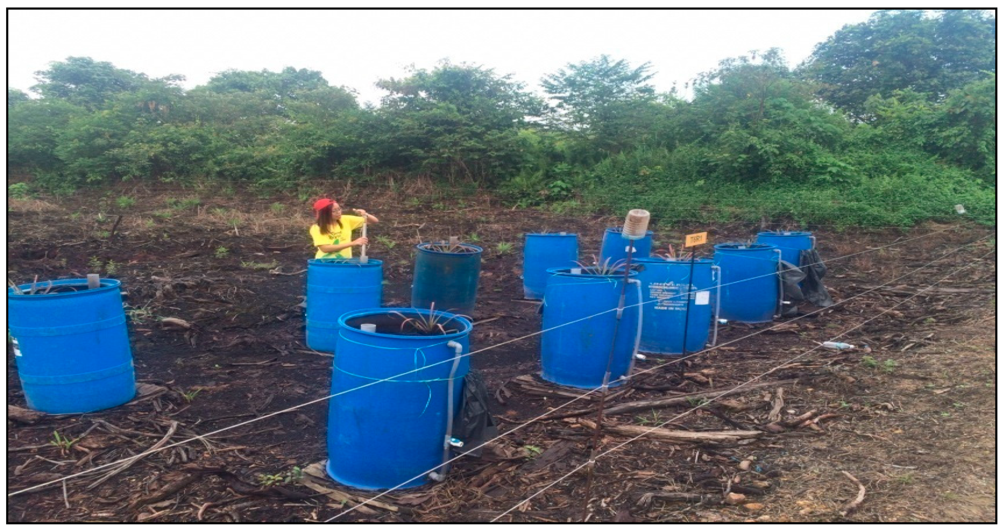 Agronomy 11 01448 g003