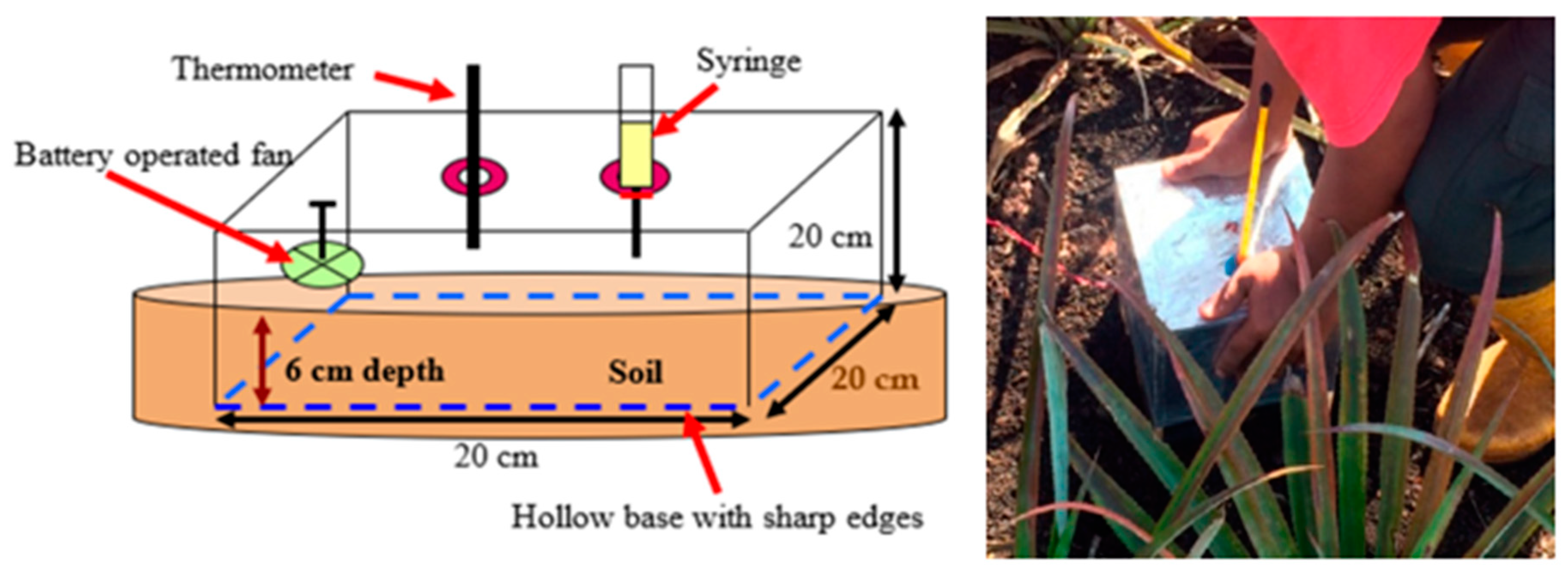 Agronomy 11 01448 g004