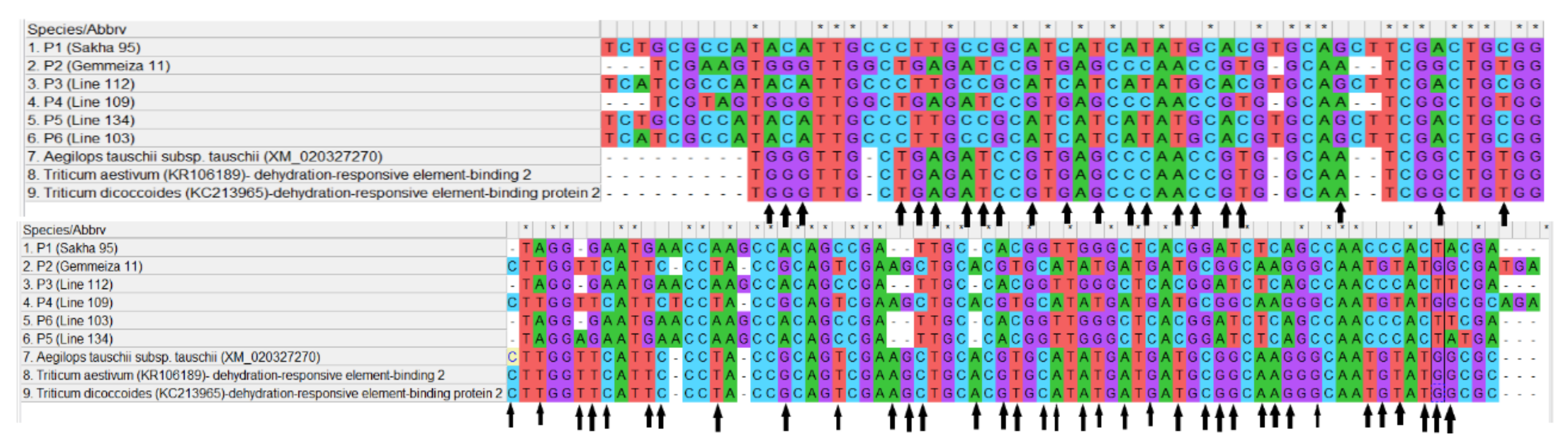 Agronomy 11 01450 g009